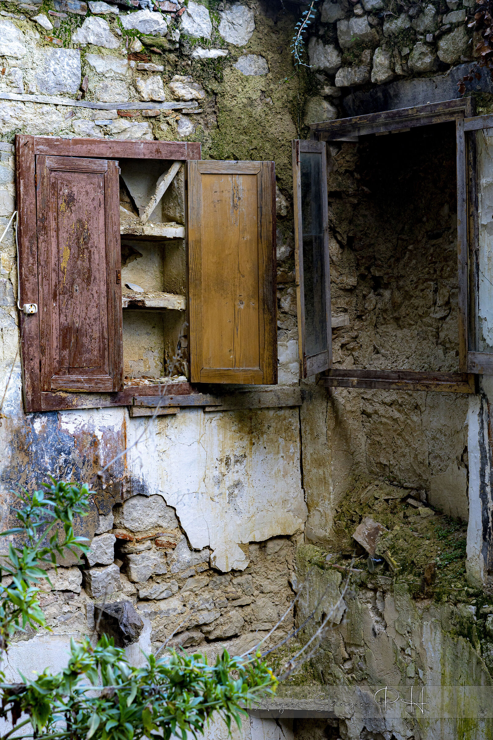Untitled Photo