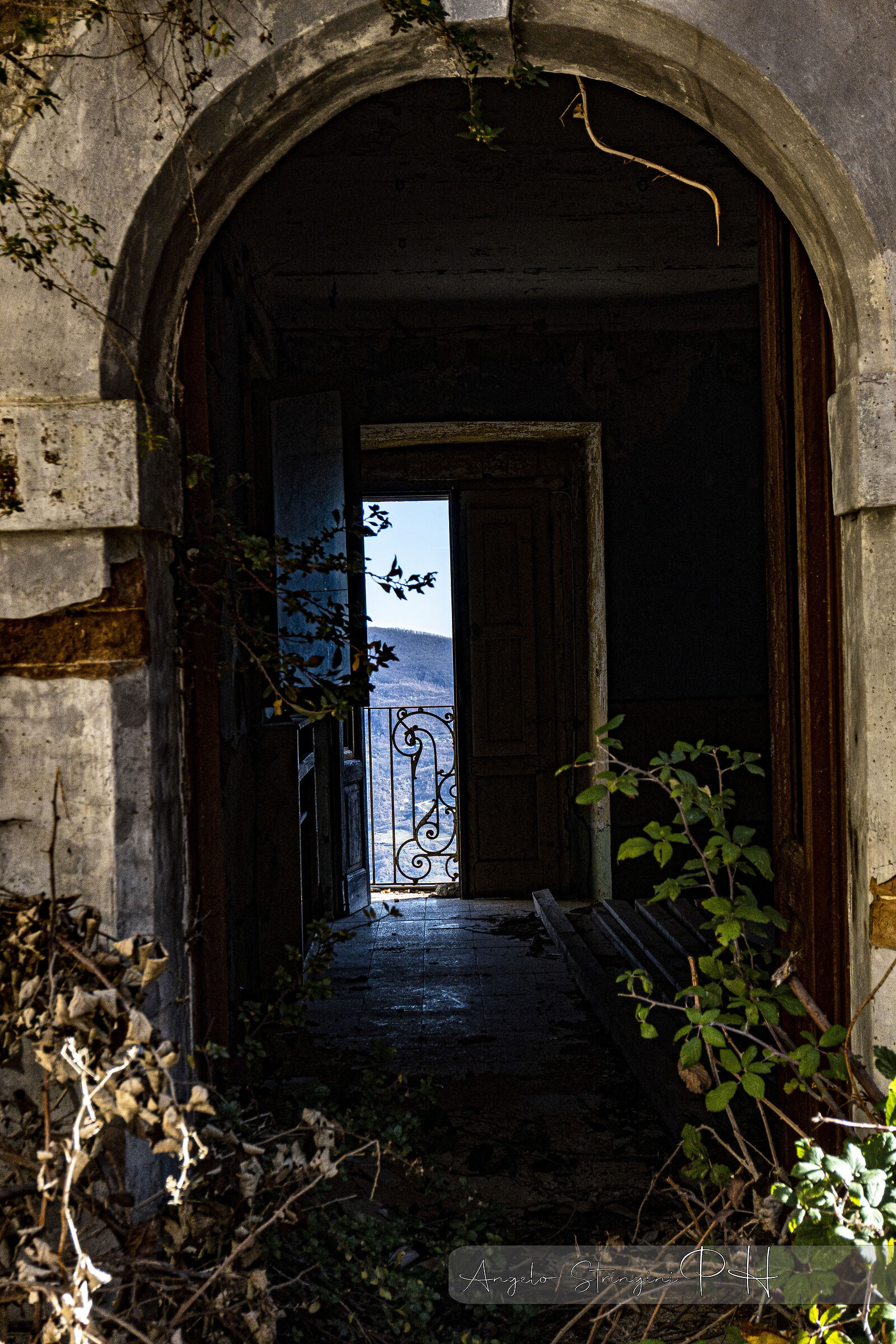 Untitled Photo