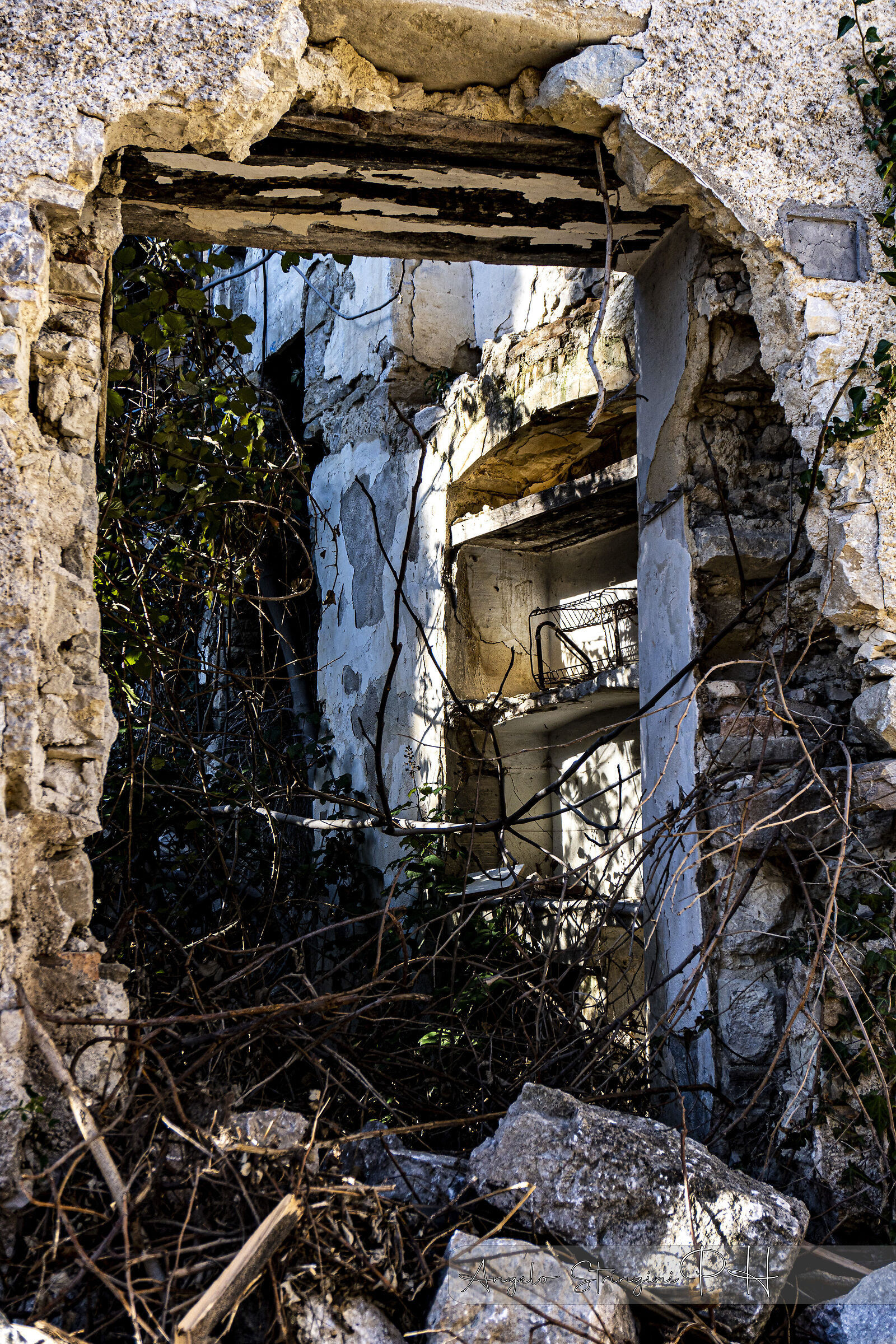 Untitled Photo