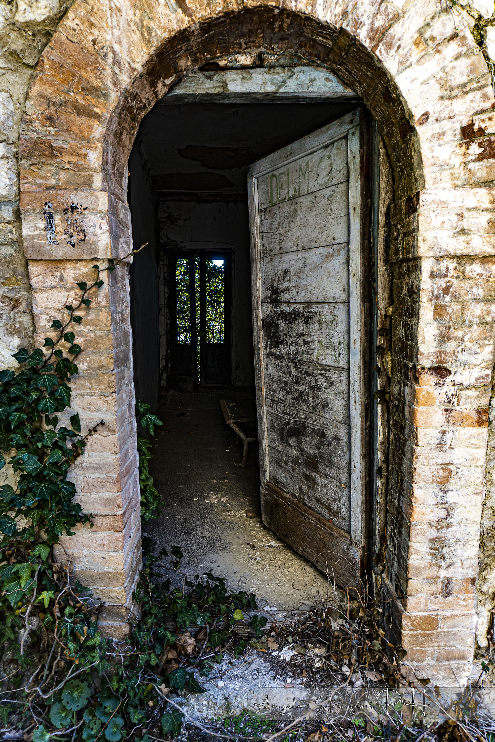 Untitled Photo