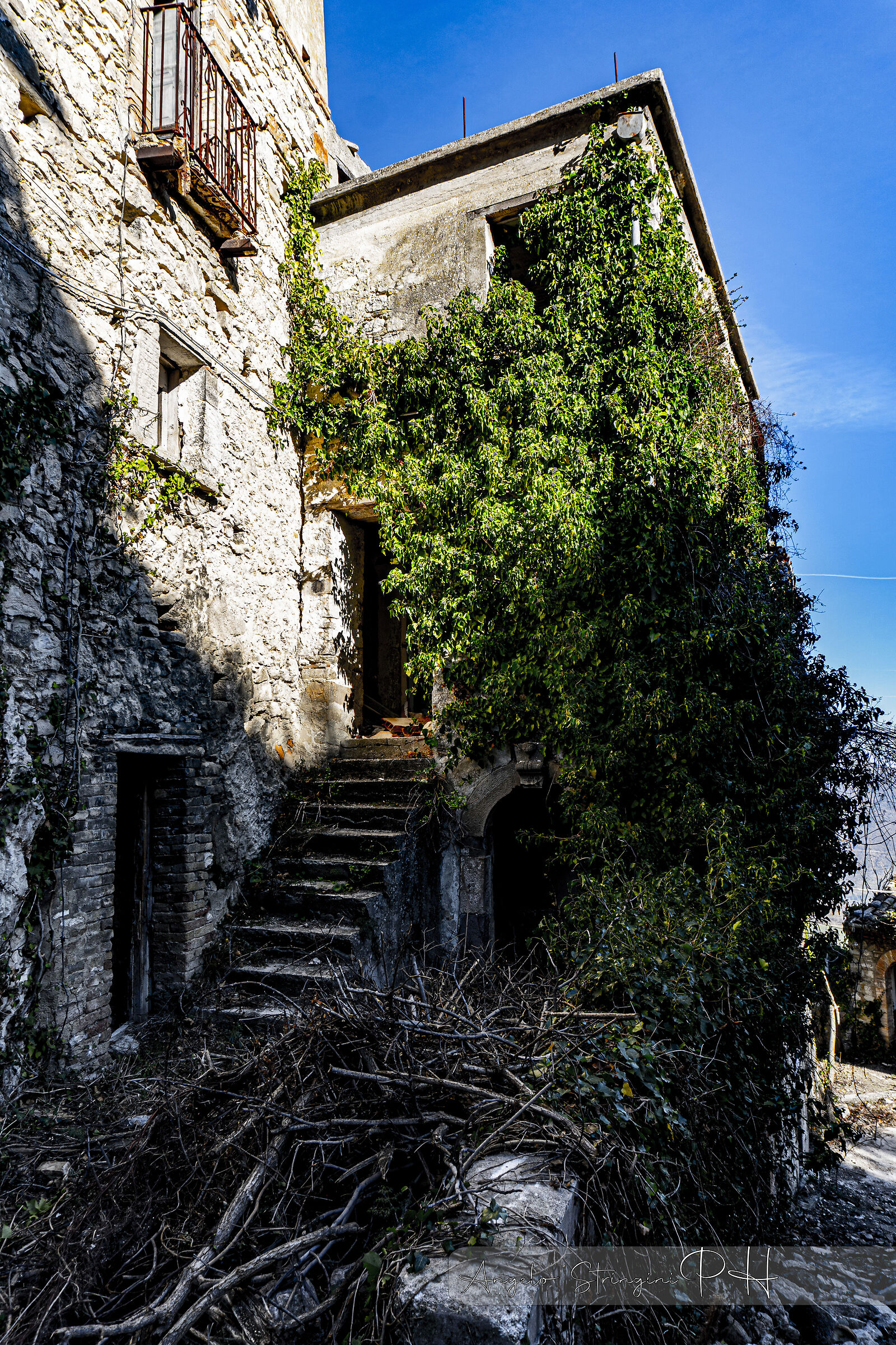 Untitled Photo