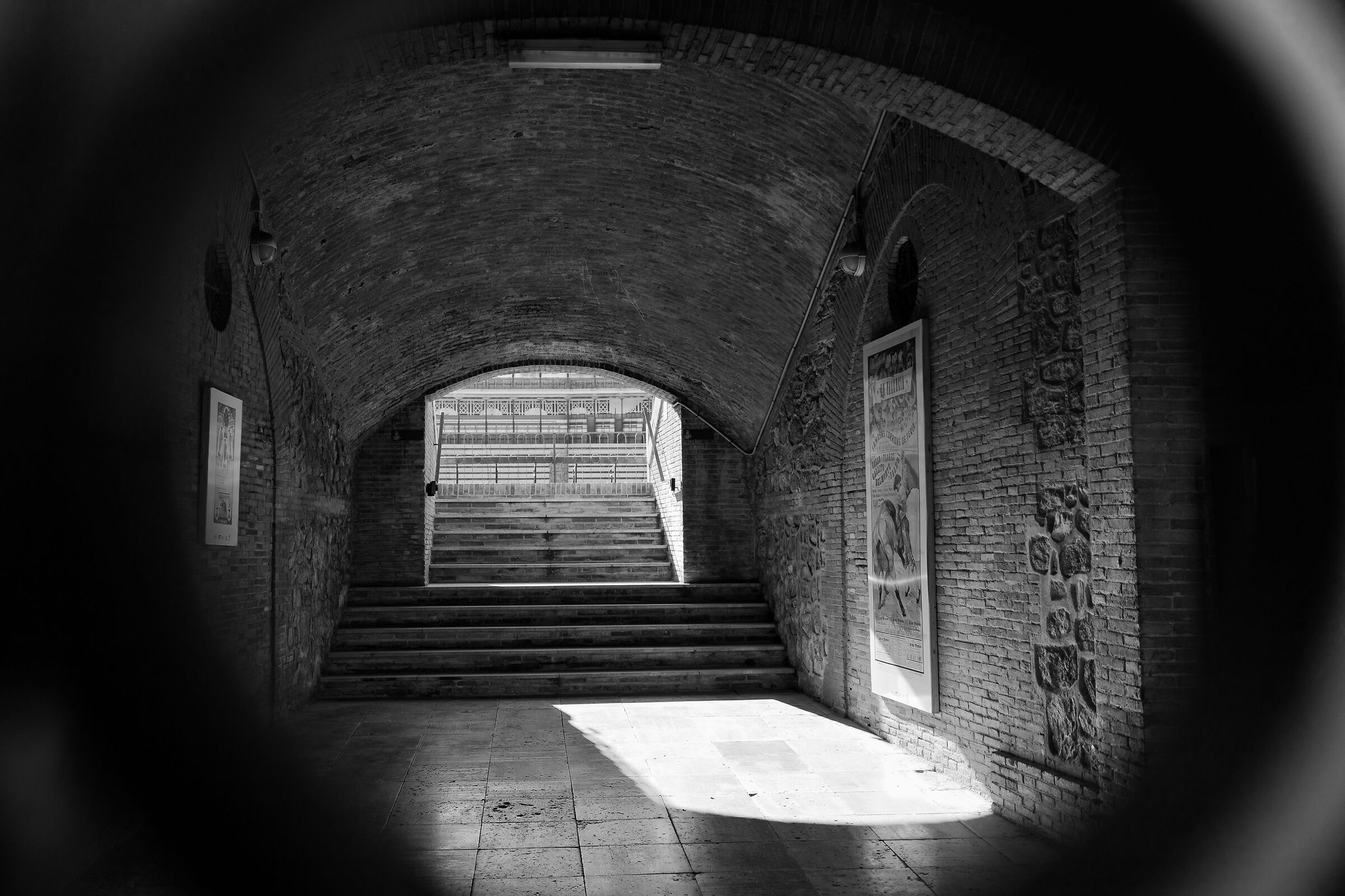 Valencia Bullfighting