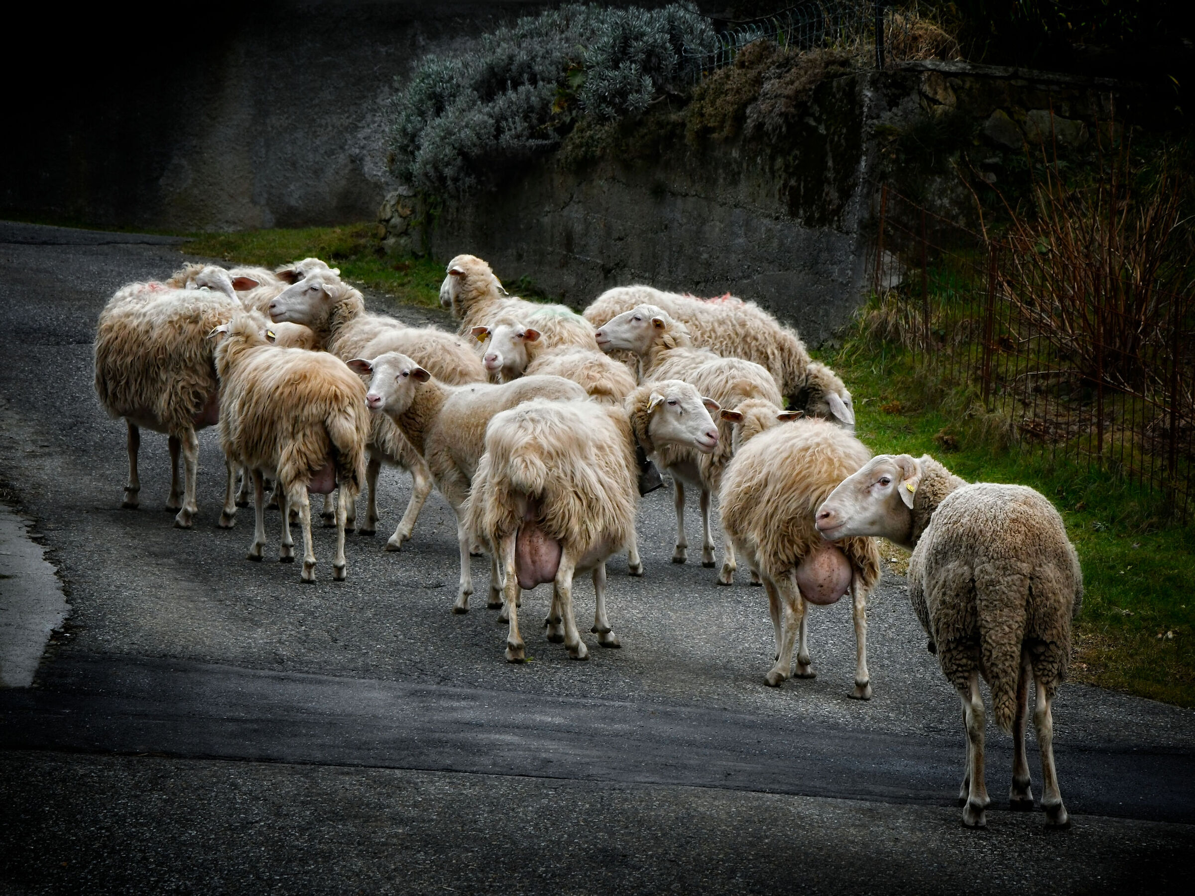 Mungetemi per favore!