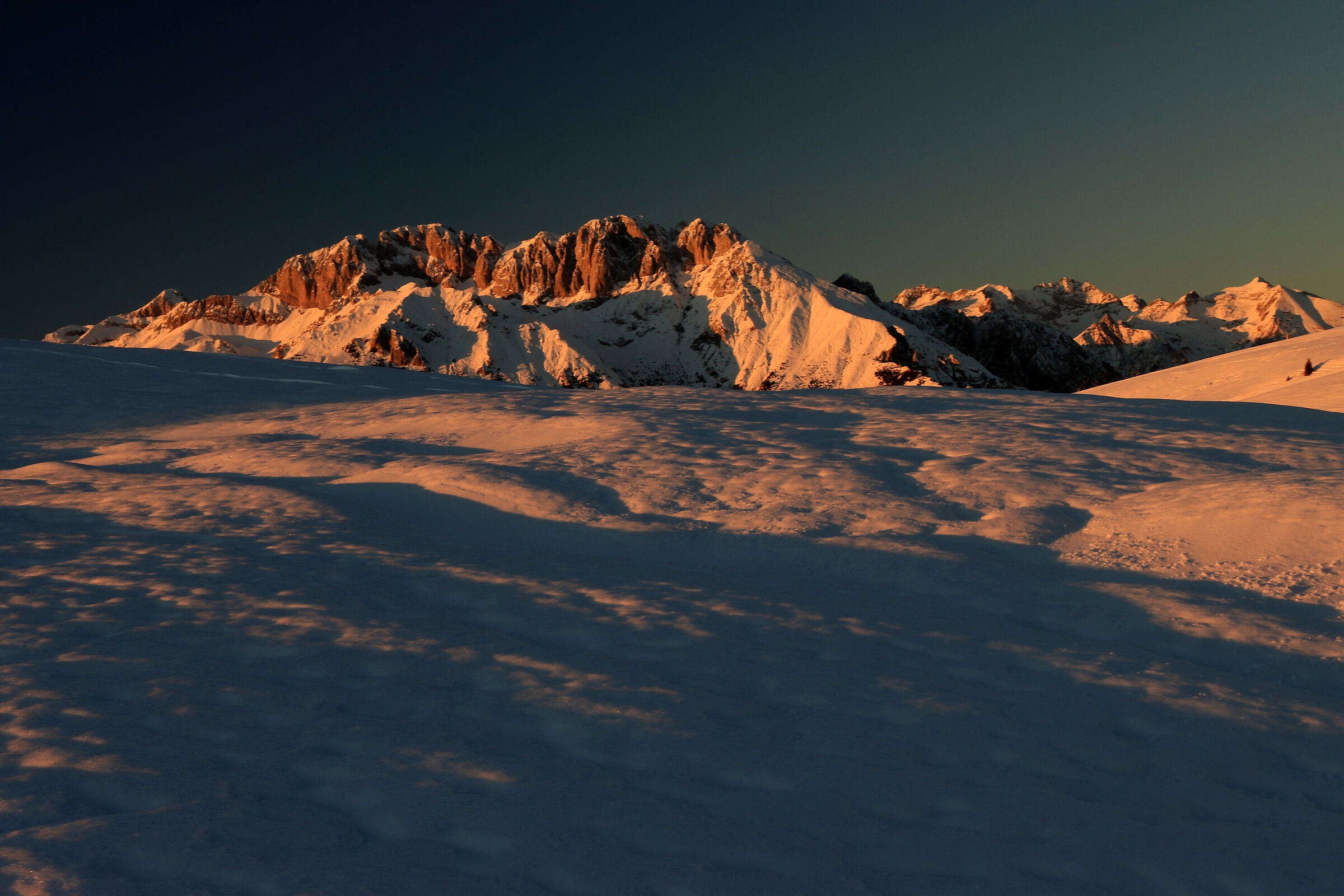 The "queen" in white