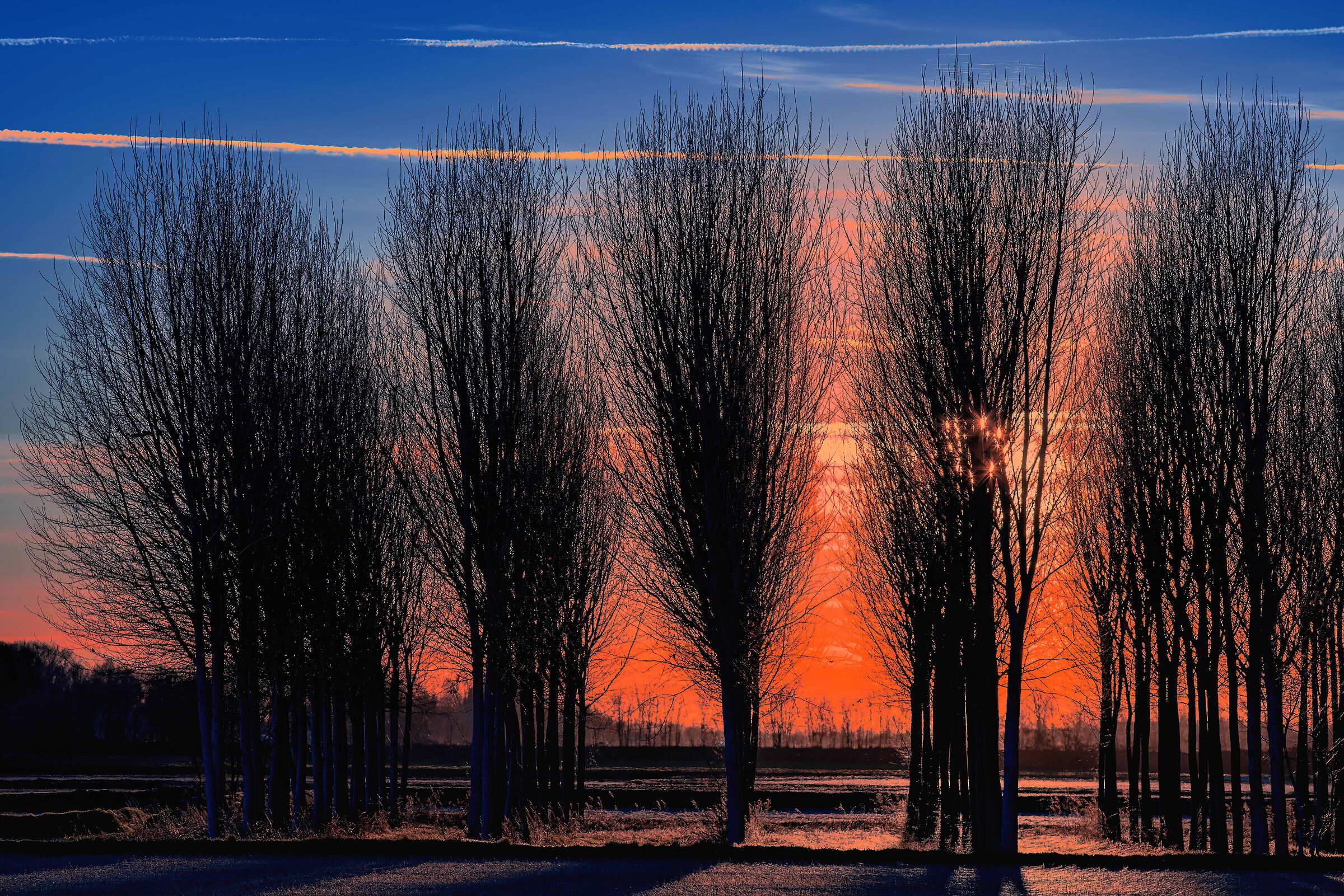 Red in the evening..............