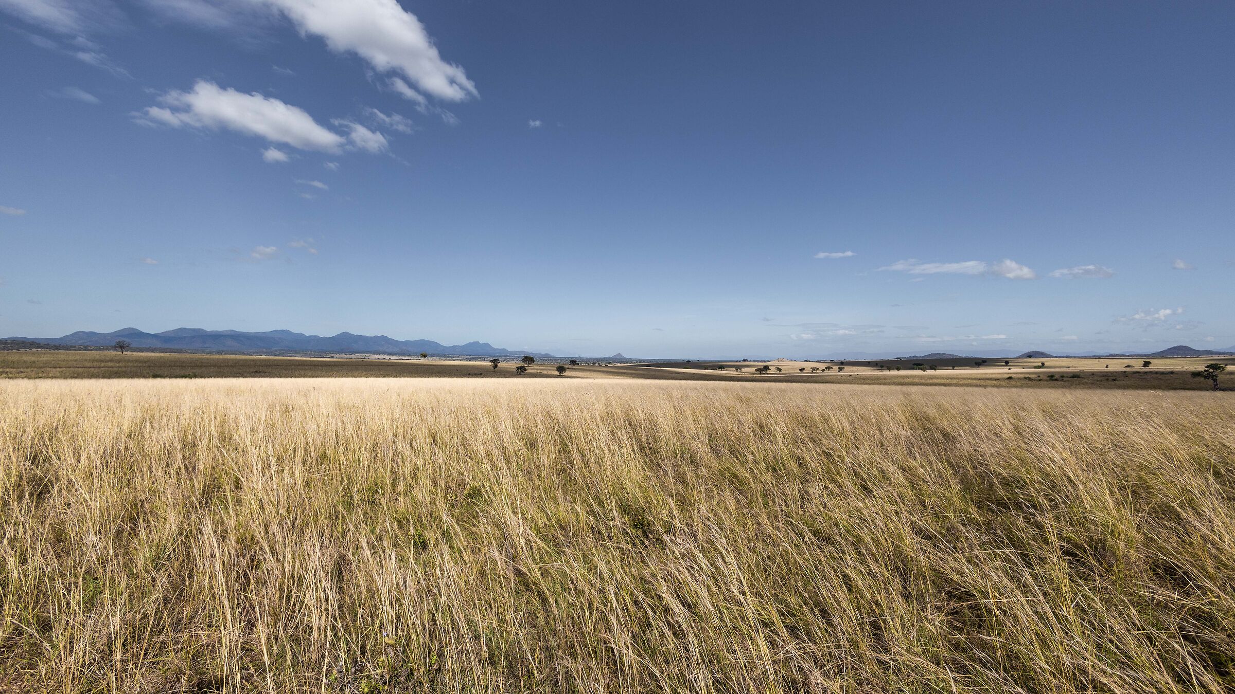 Expanses of African savannah