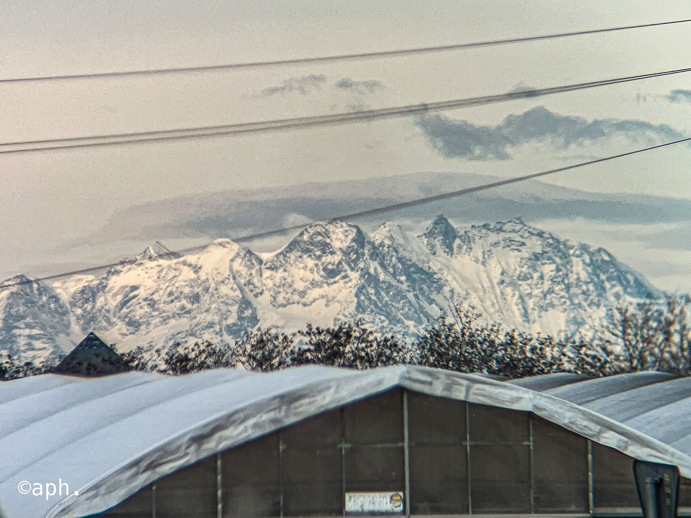 Monte rosa live 2023