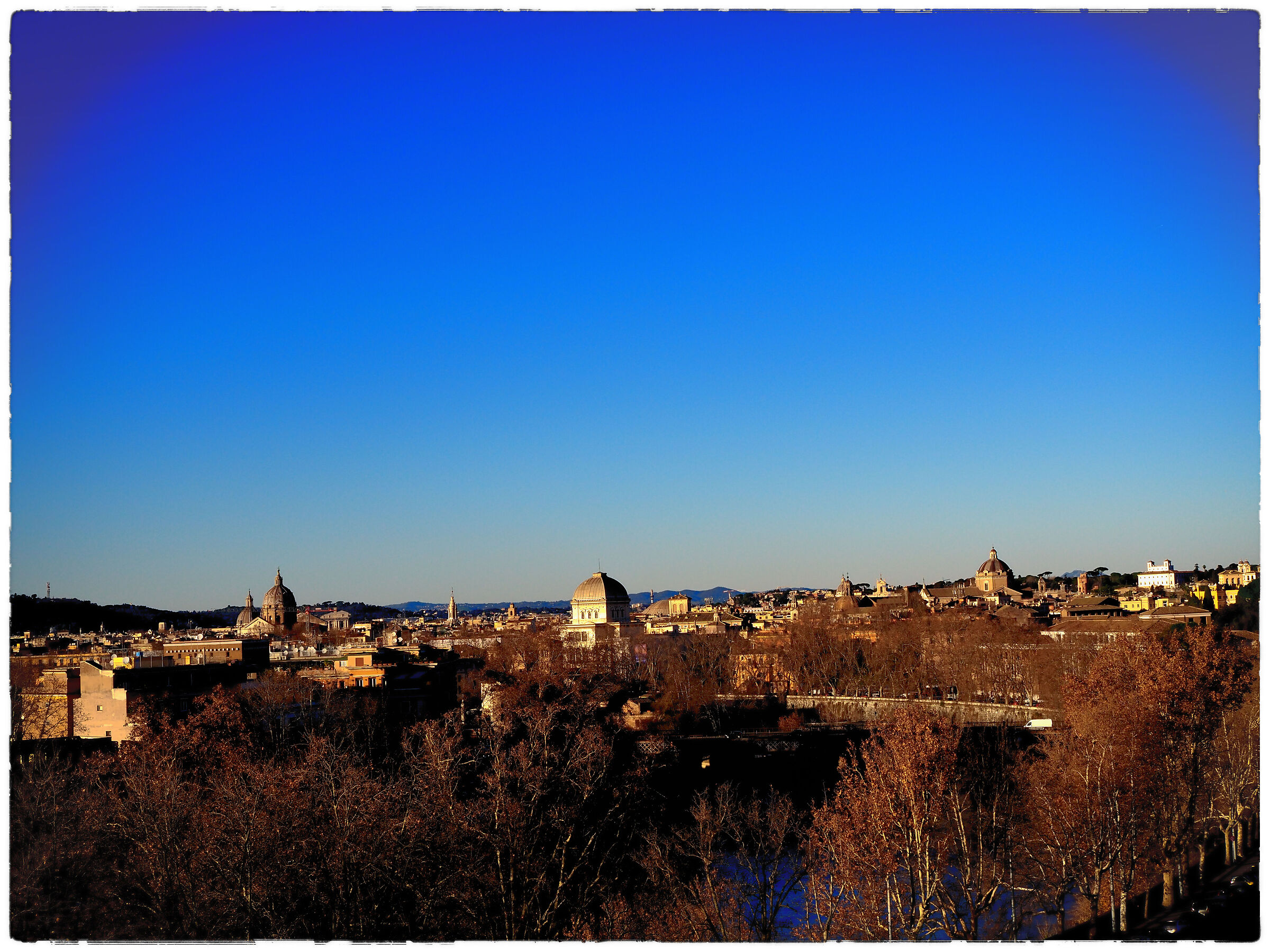 From the orange garden