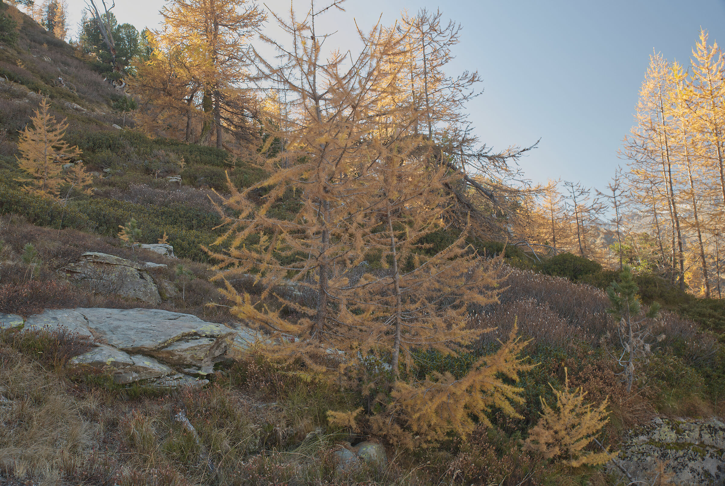 autumn in Val d'Aosta October 2021