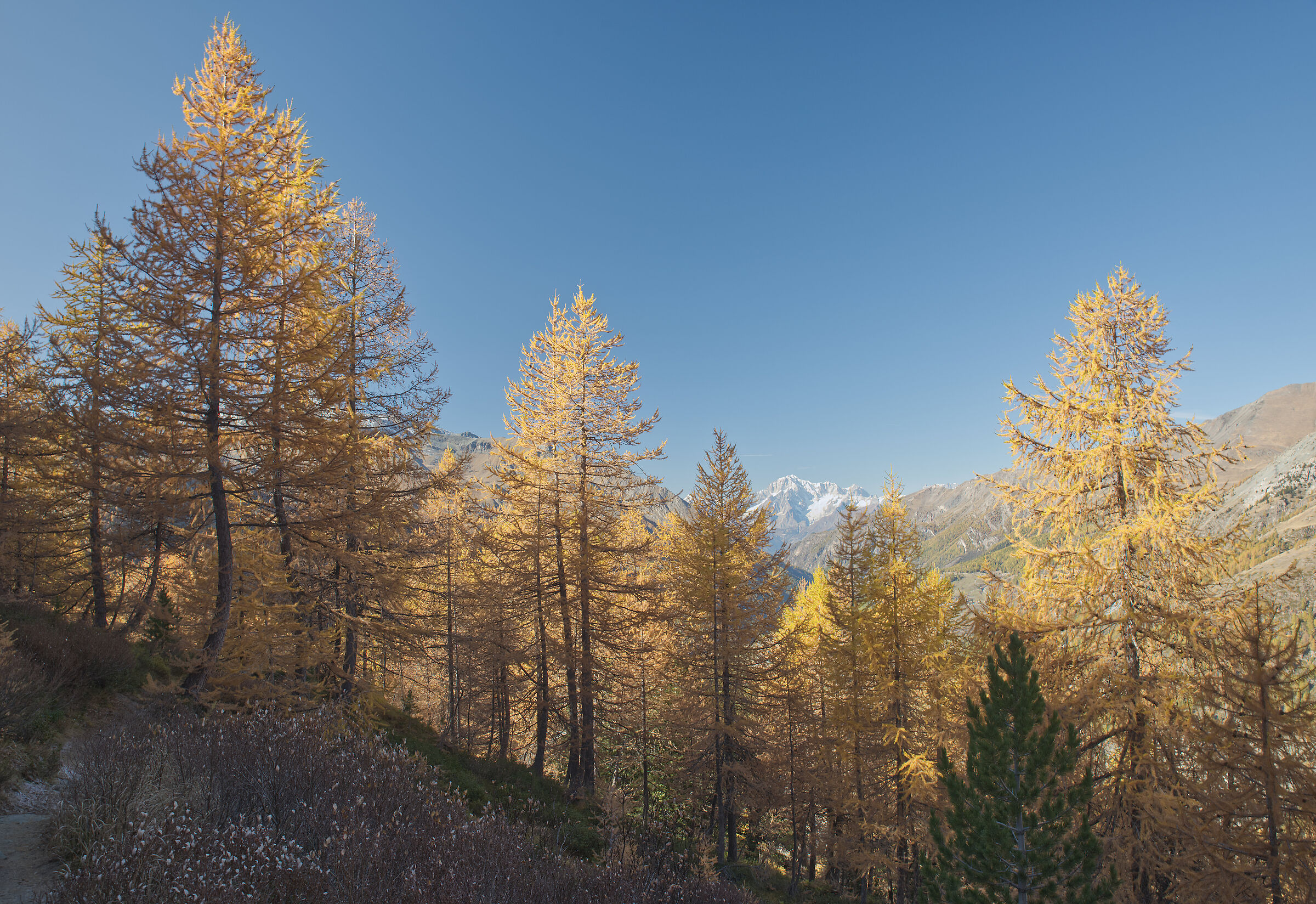 autumn in Val d'Aosta October 2021