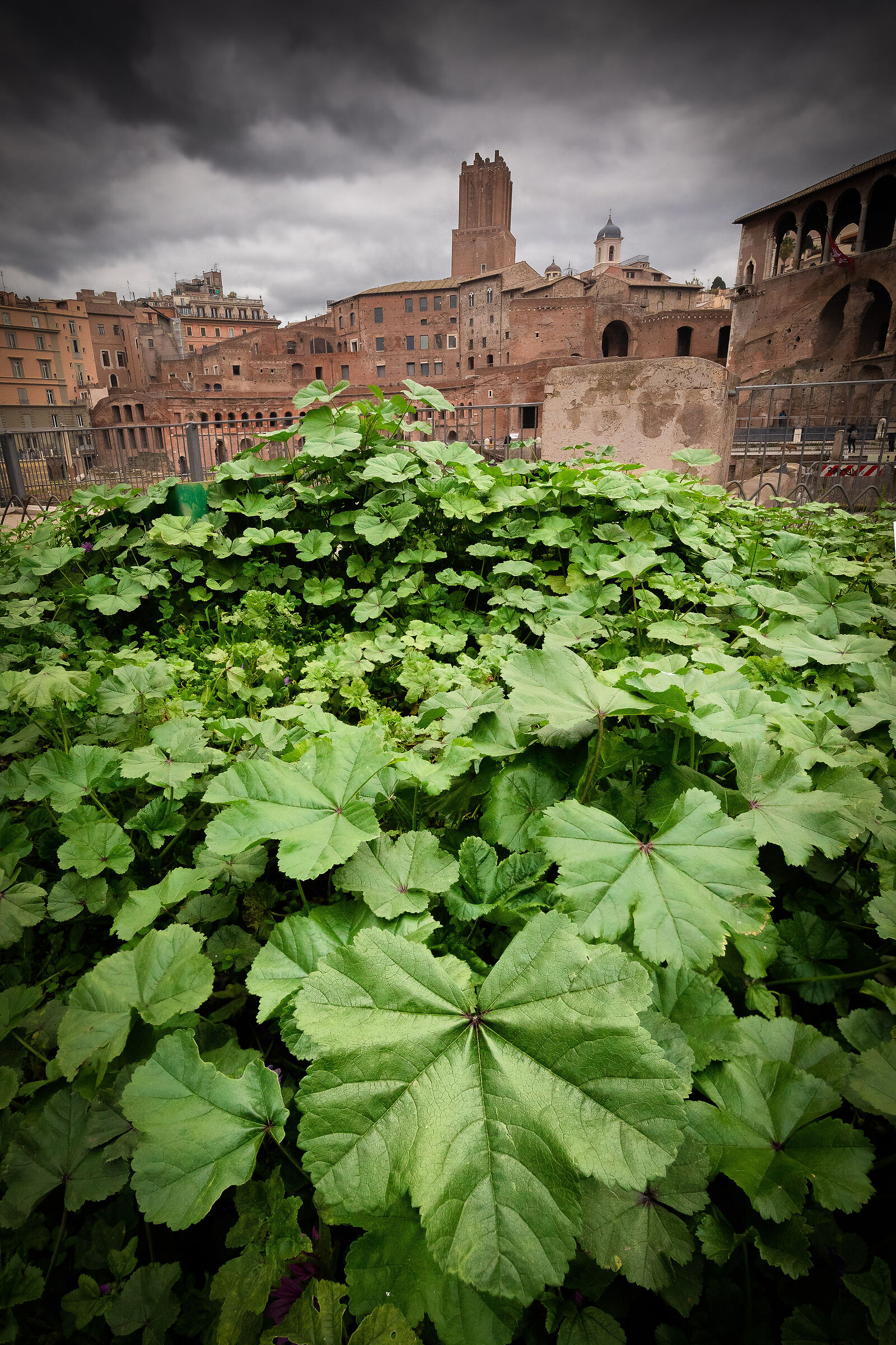 Lungo i fori imperiali