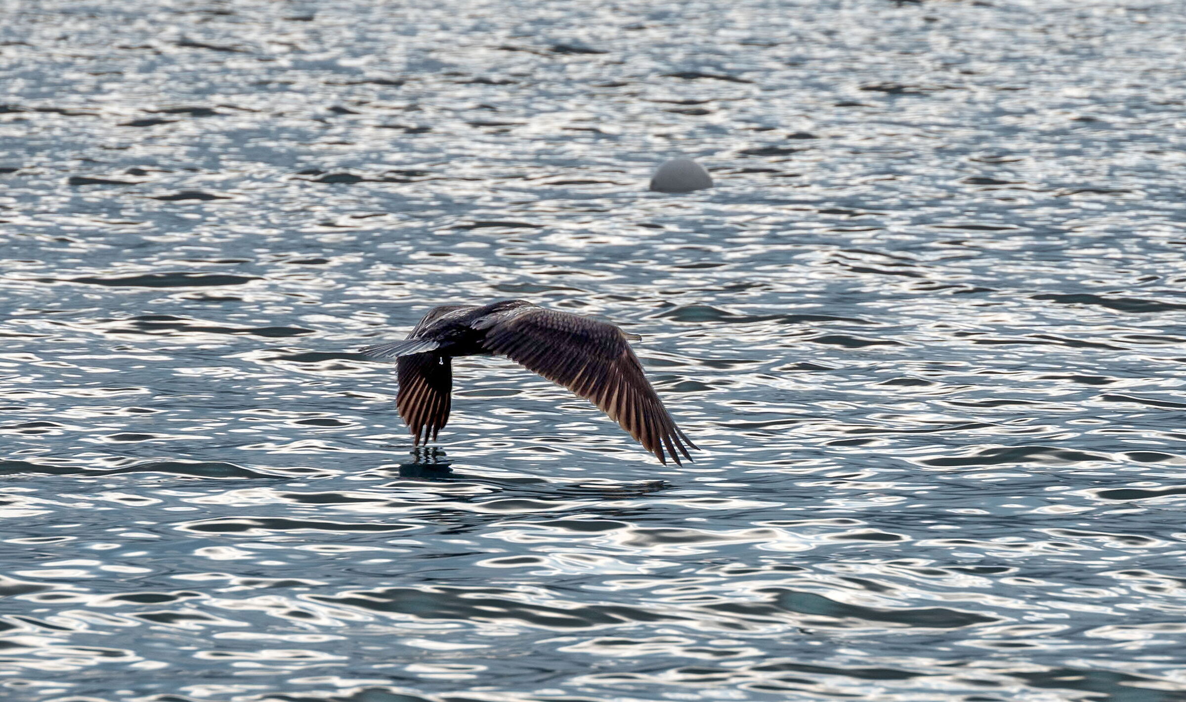 Che Fatica Decollare Forse con tutti stì Flap ci Ries...