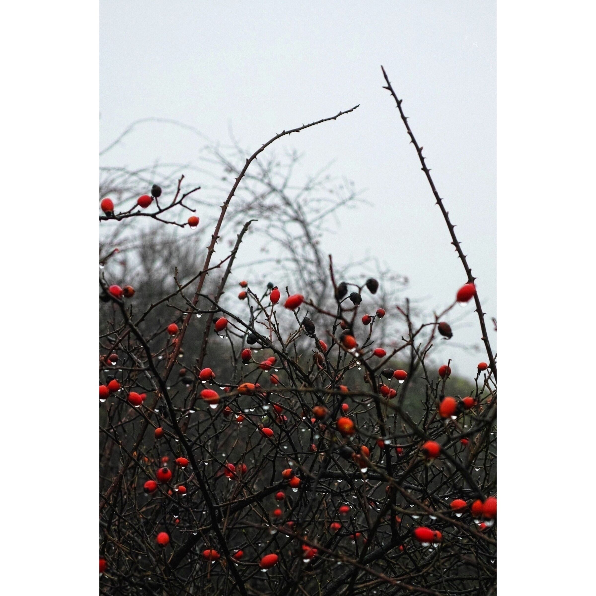Untitled Photo