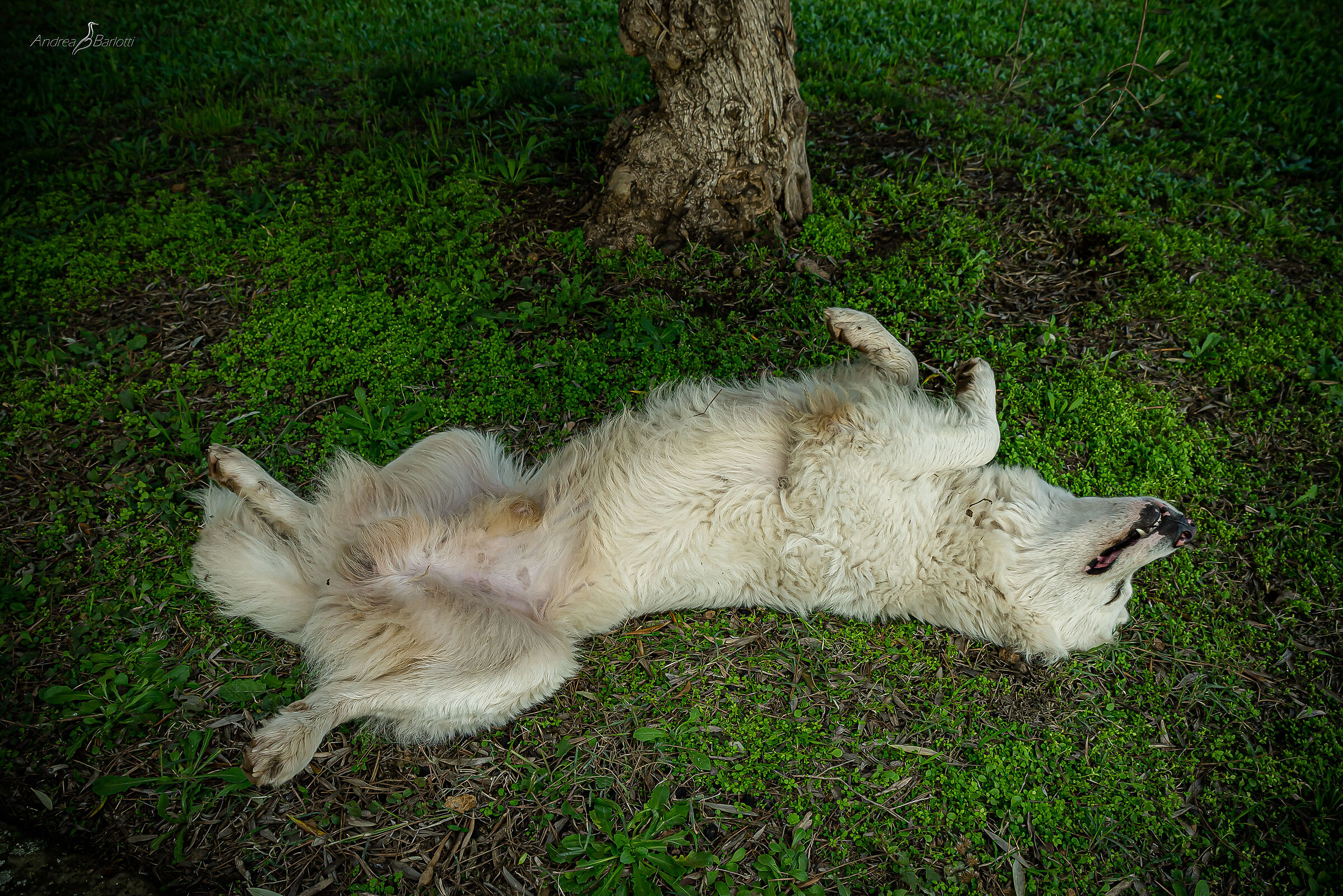 After a full night on guard.