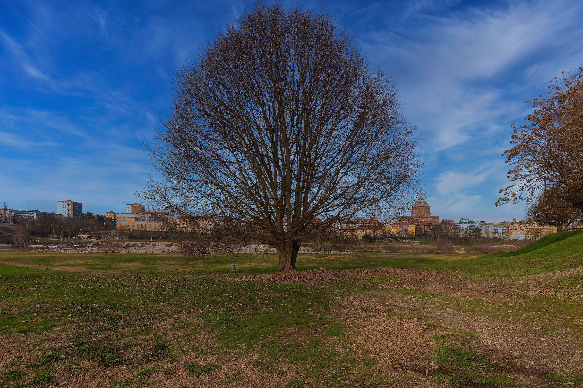 Una Giornata Così Così