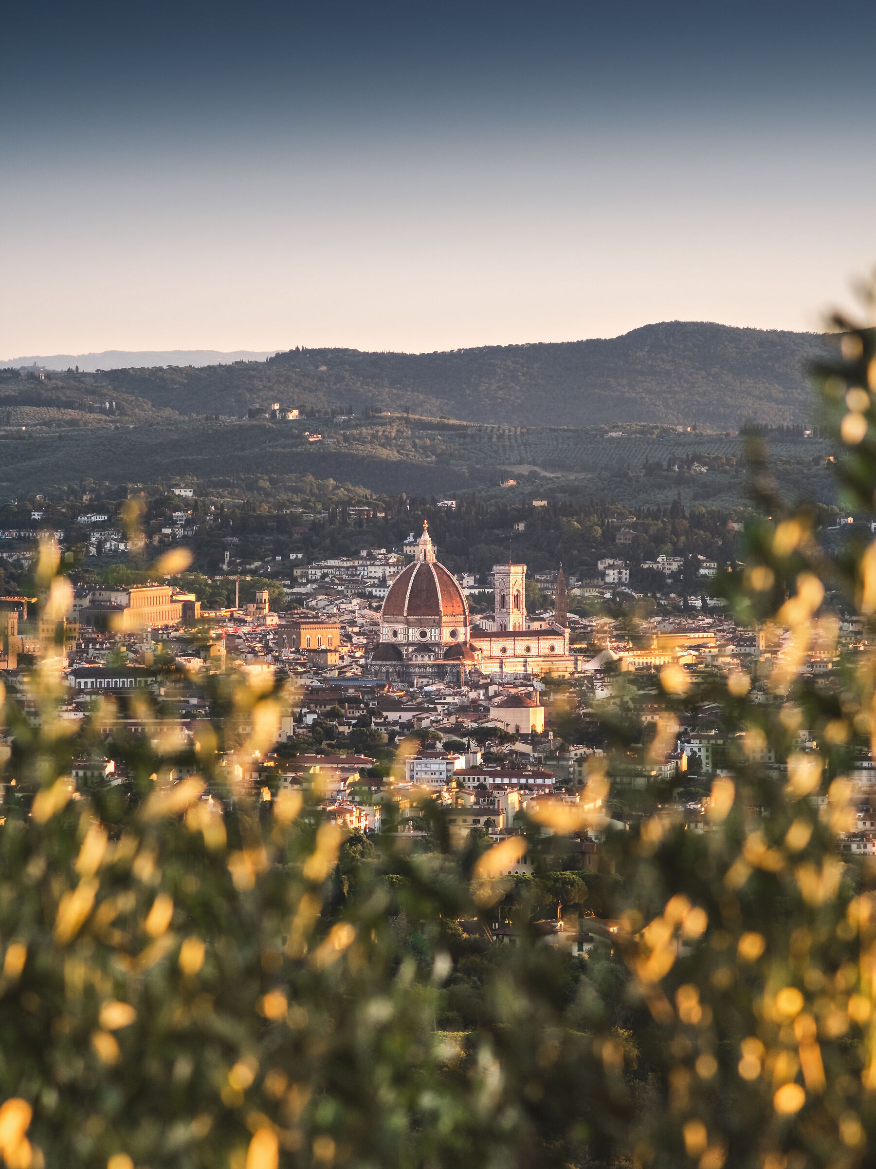 Firenze - 19 luglio 2020