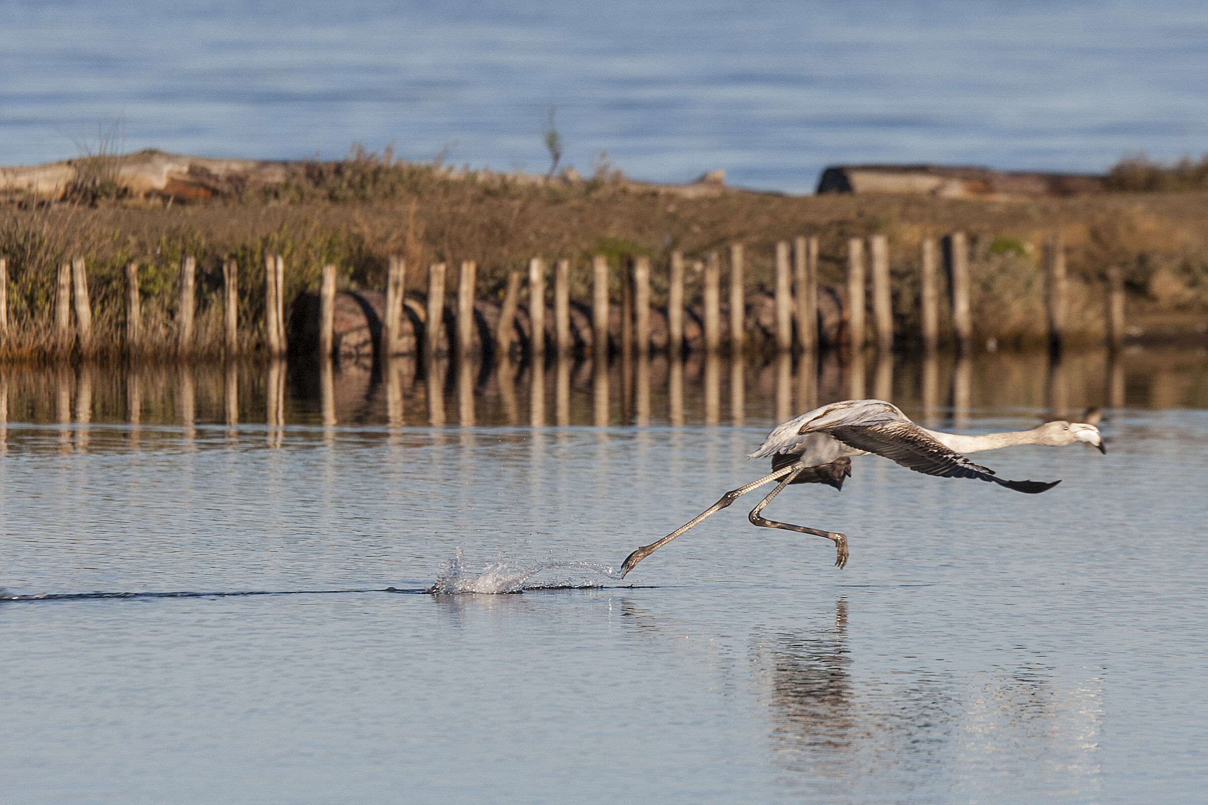 running on the water