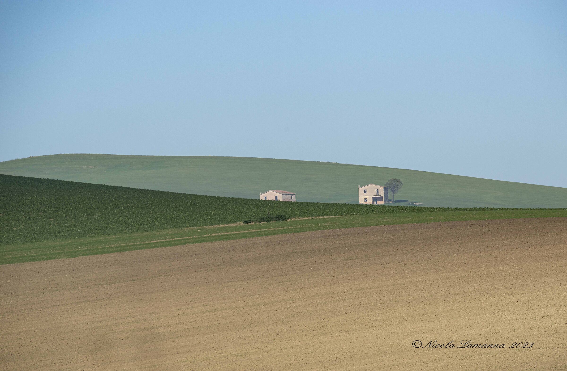 Untitled Photo