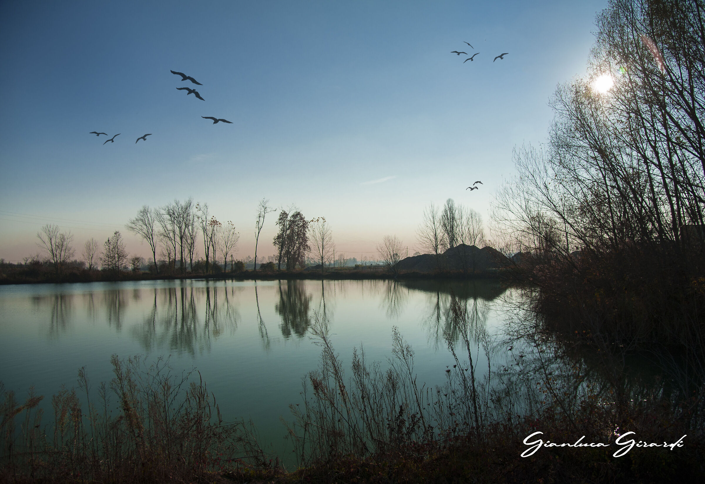 Untitled Photo
