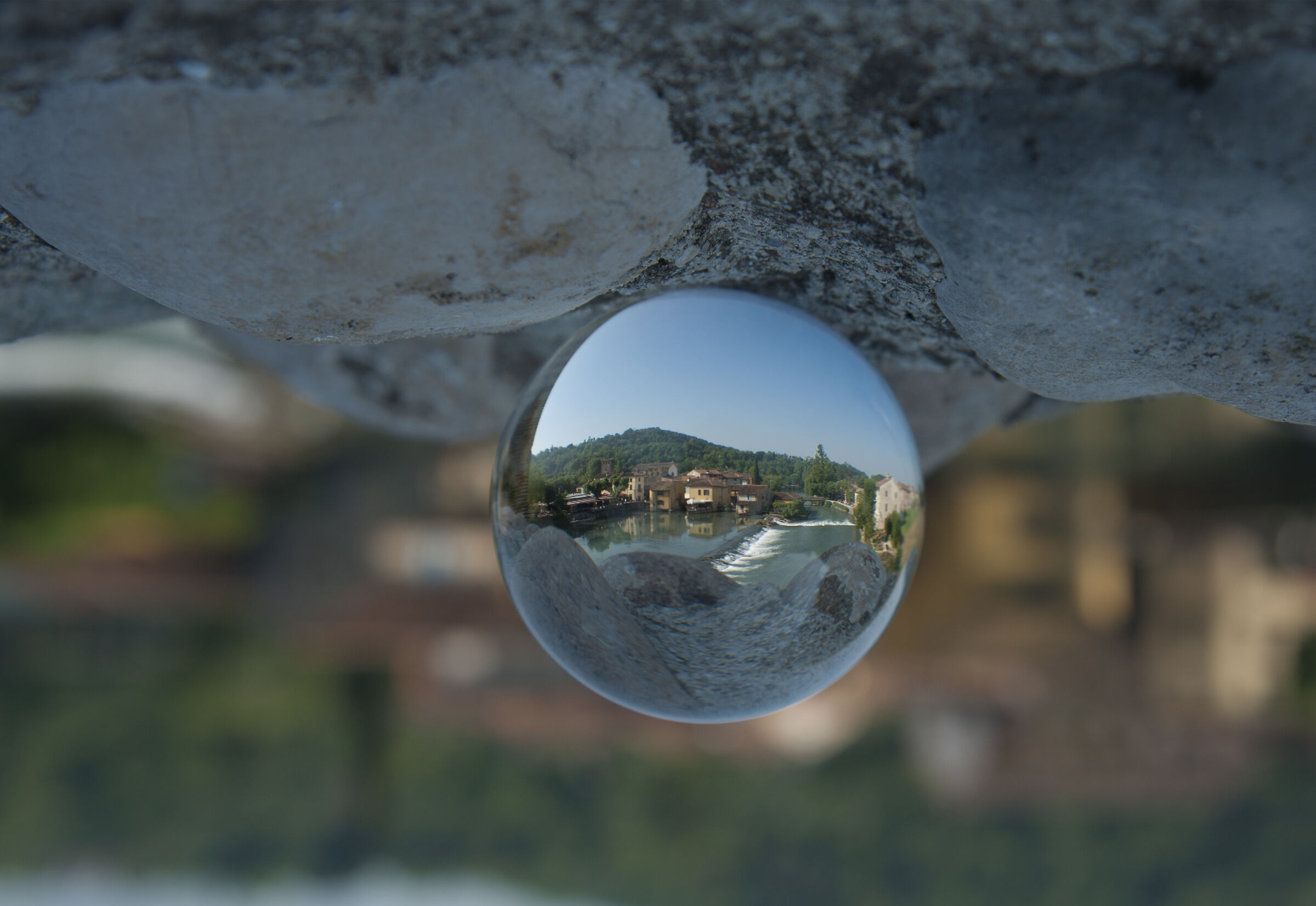 Untitled Photo