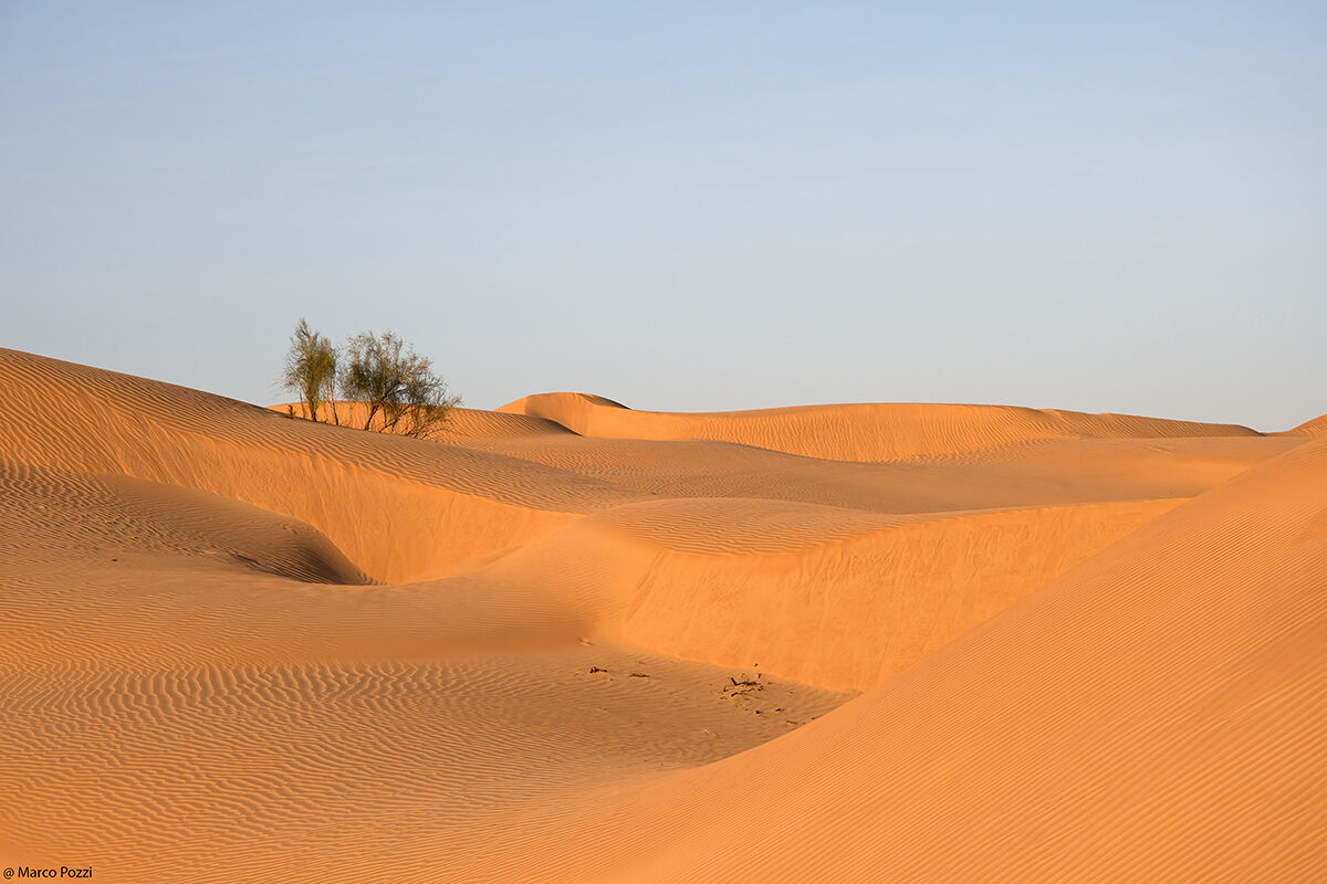 The Empty Quarter