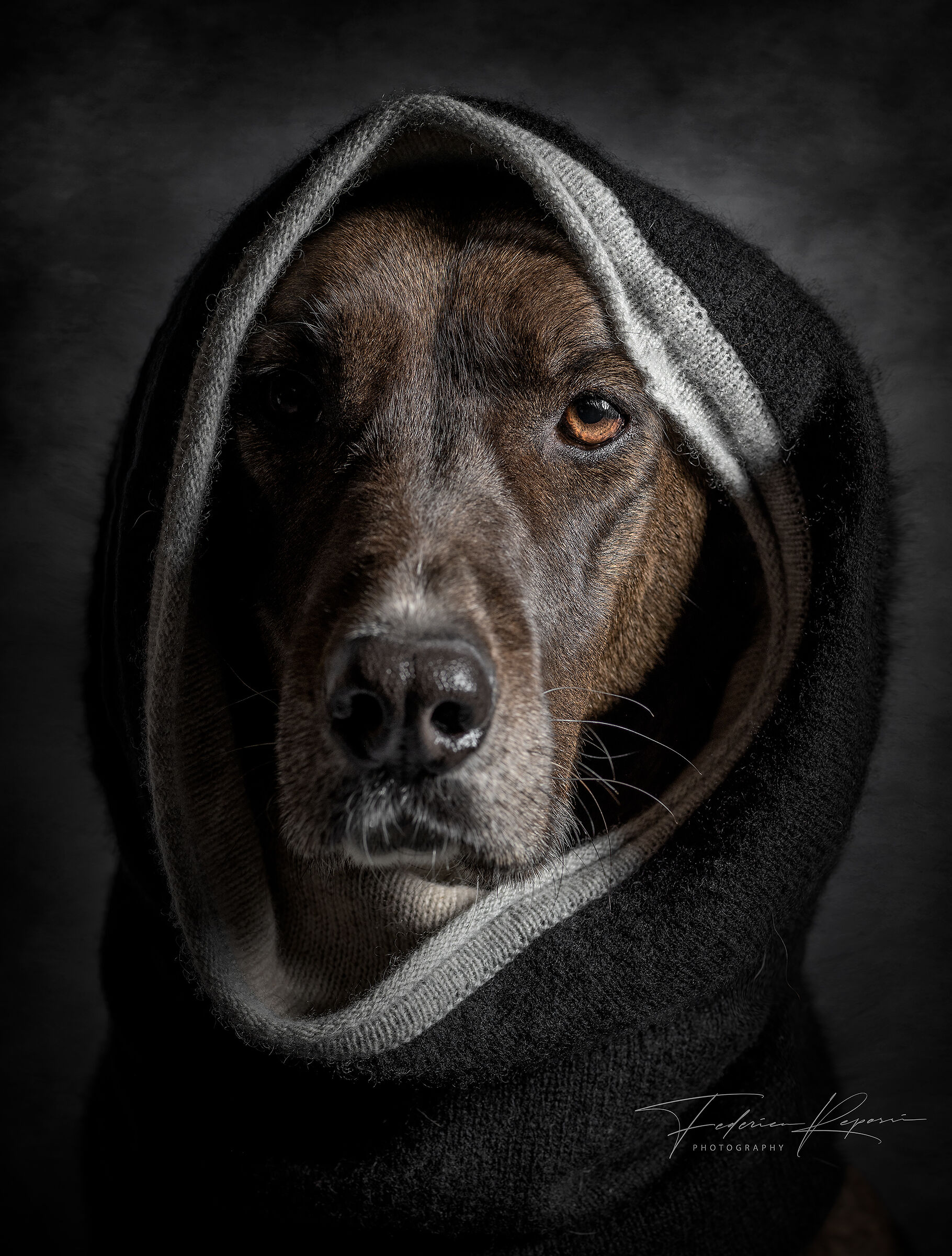 La mia modella perfetta