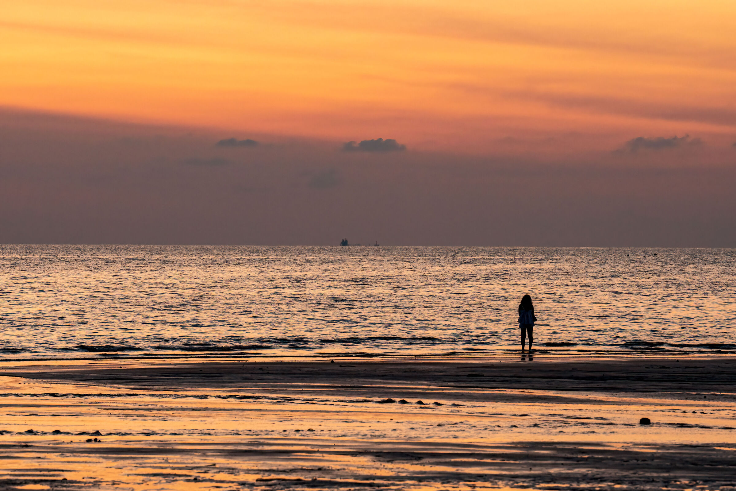 The woman and the sea