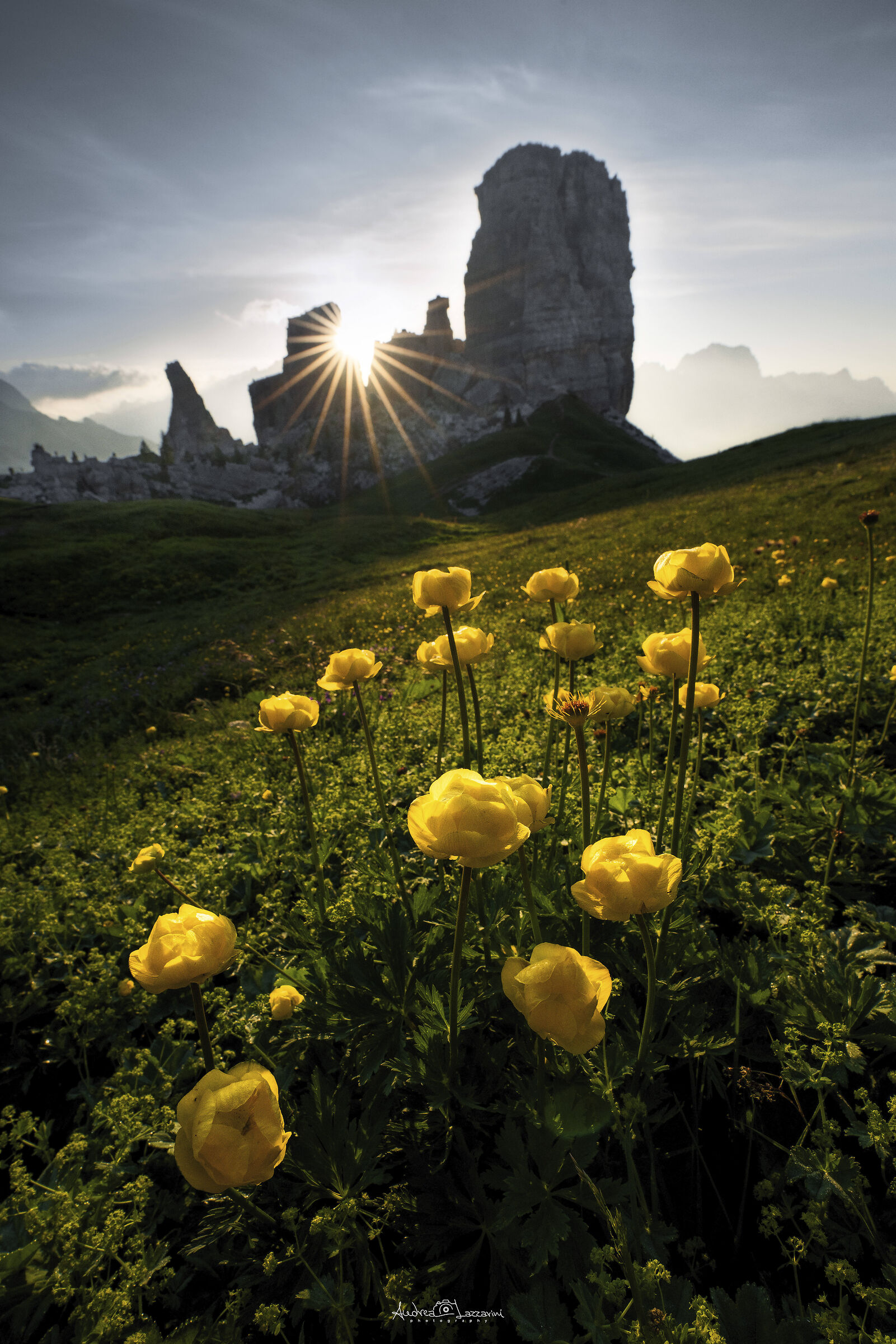 Five Blooming Sunrise Towers