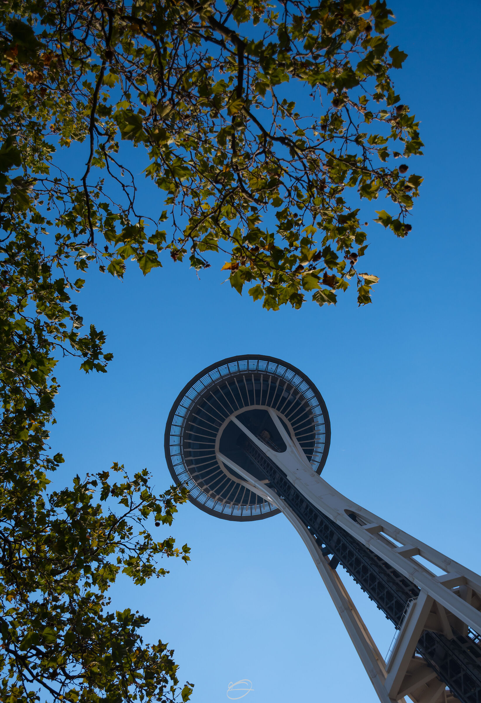 Space Needle