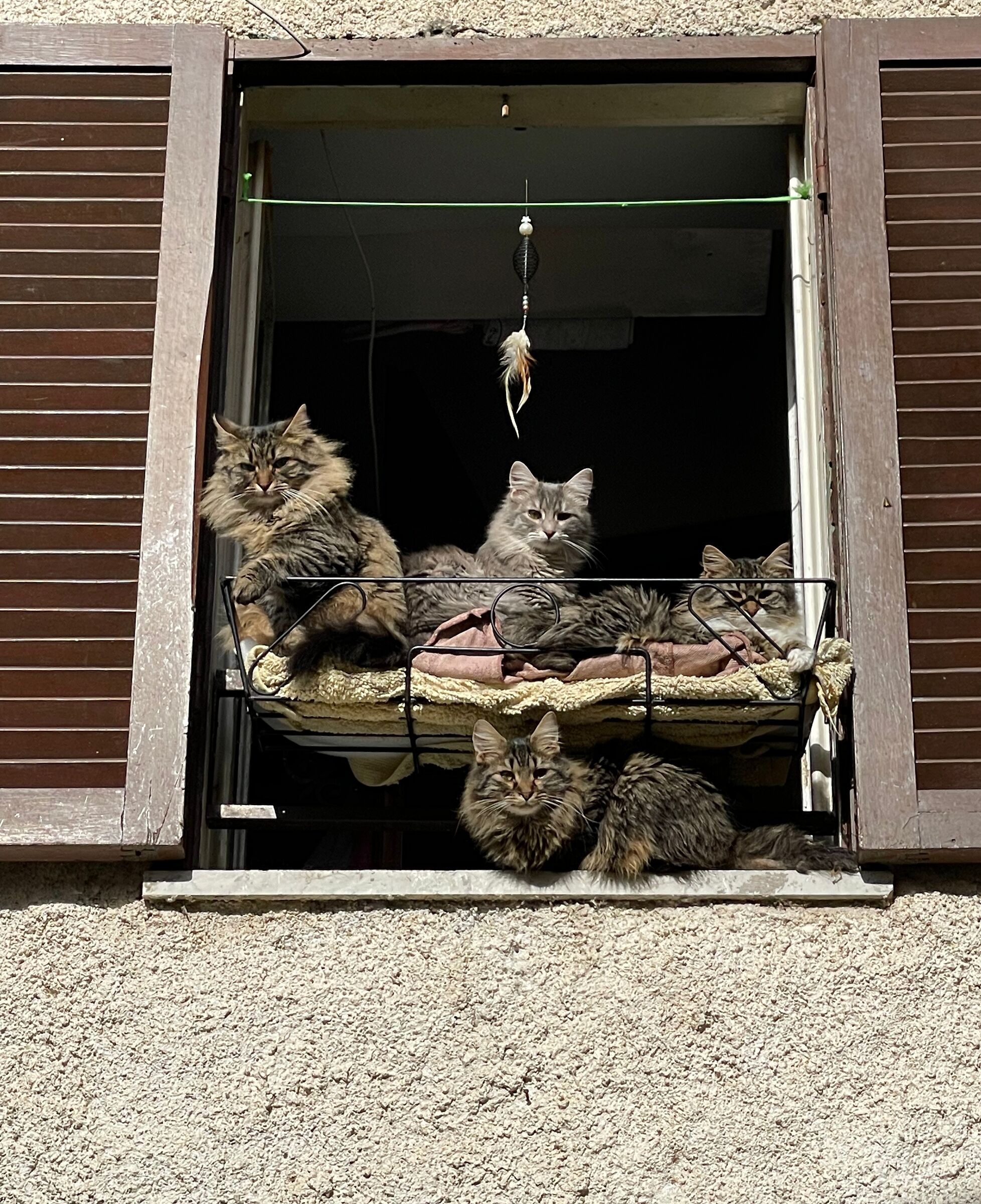 The window on the courtyard