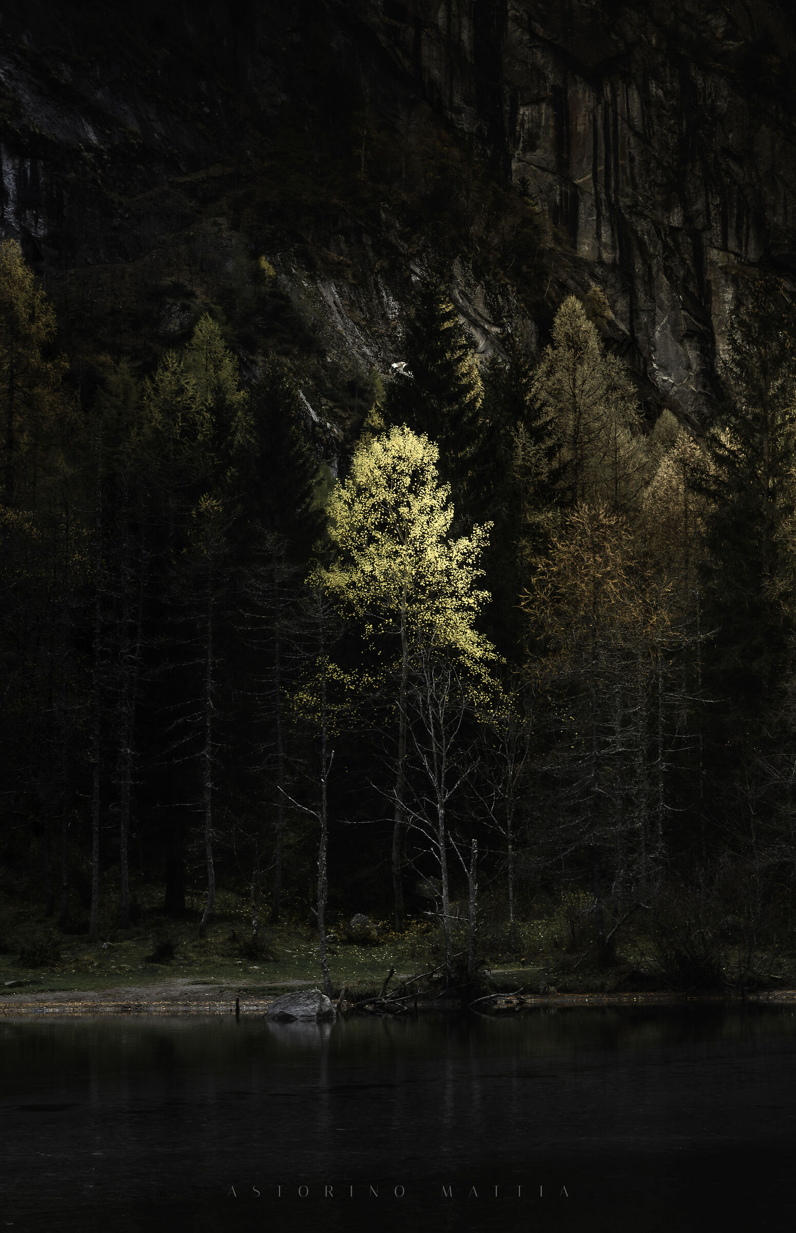 Untitled Photo