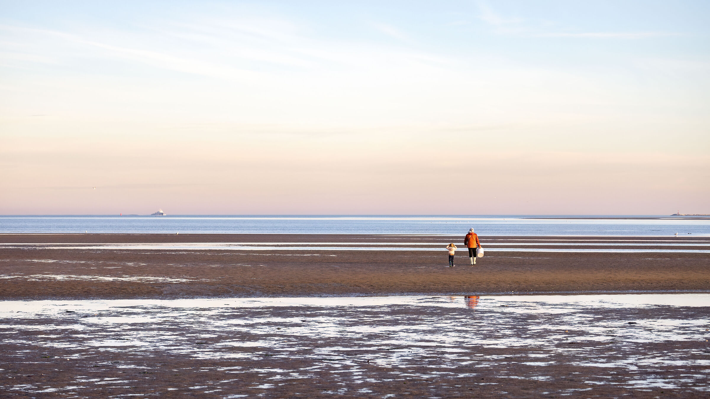 Looking for razor clams