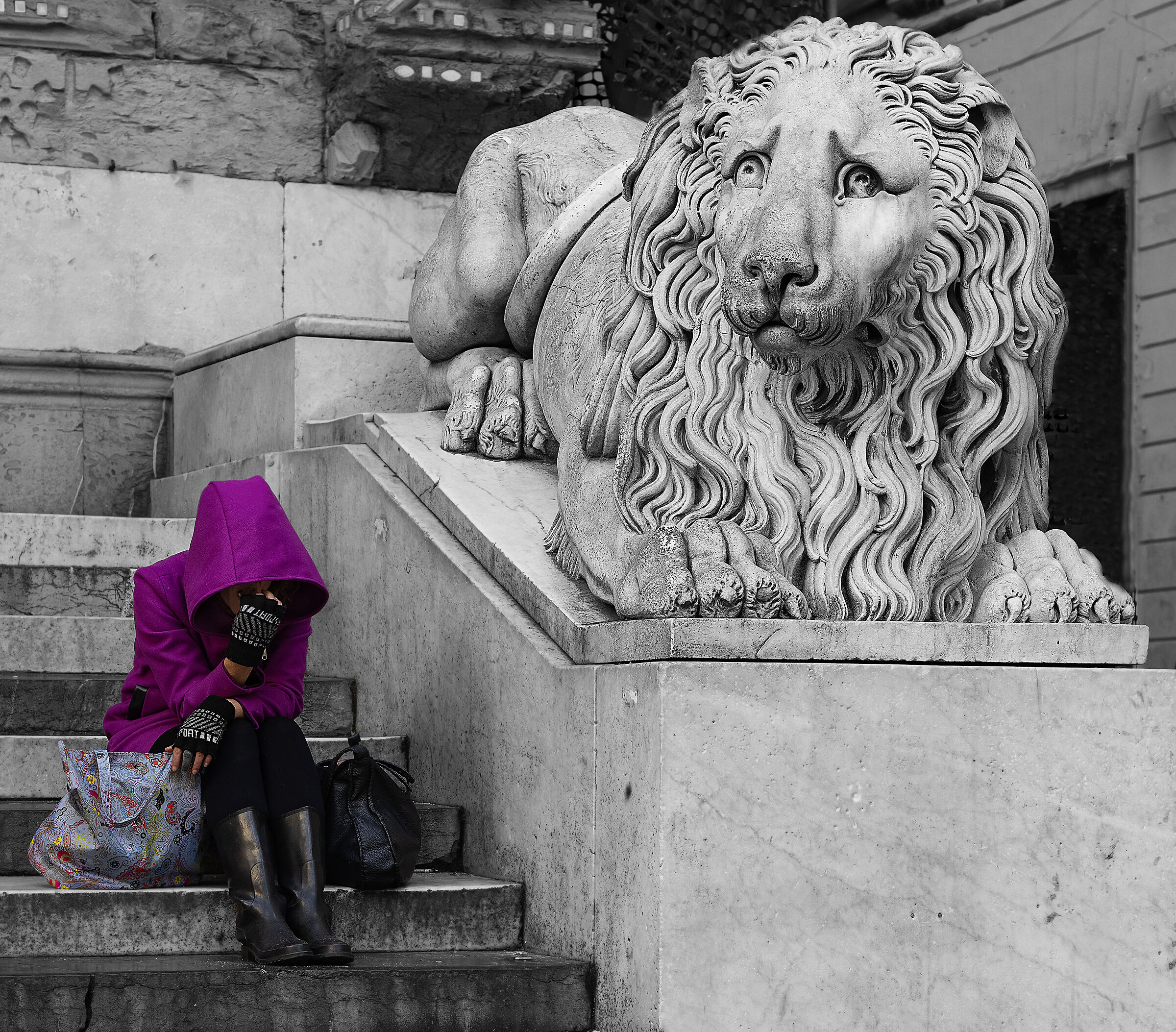 A moment of recollection (the lion watches)