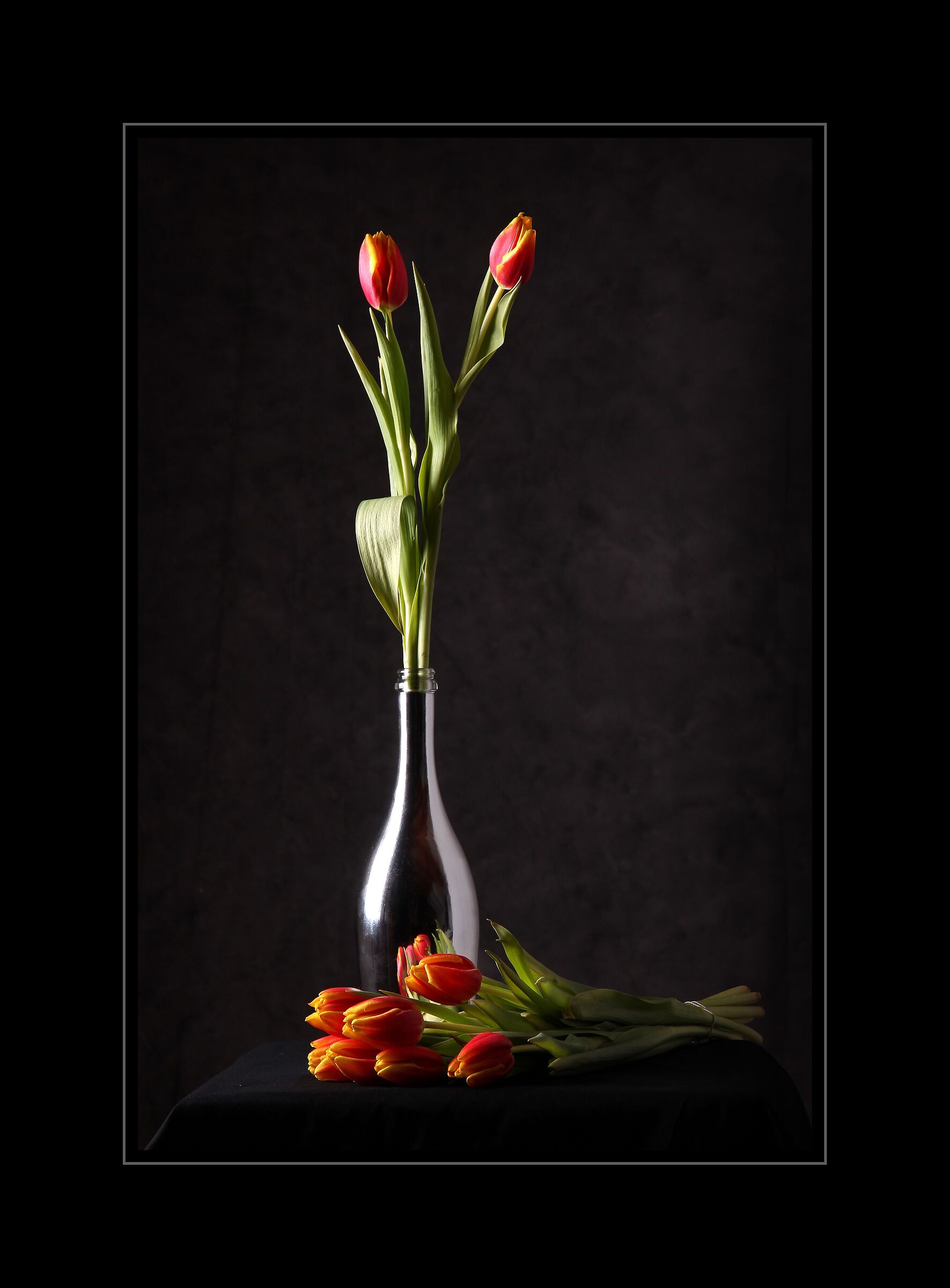 stilllife flower
