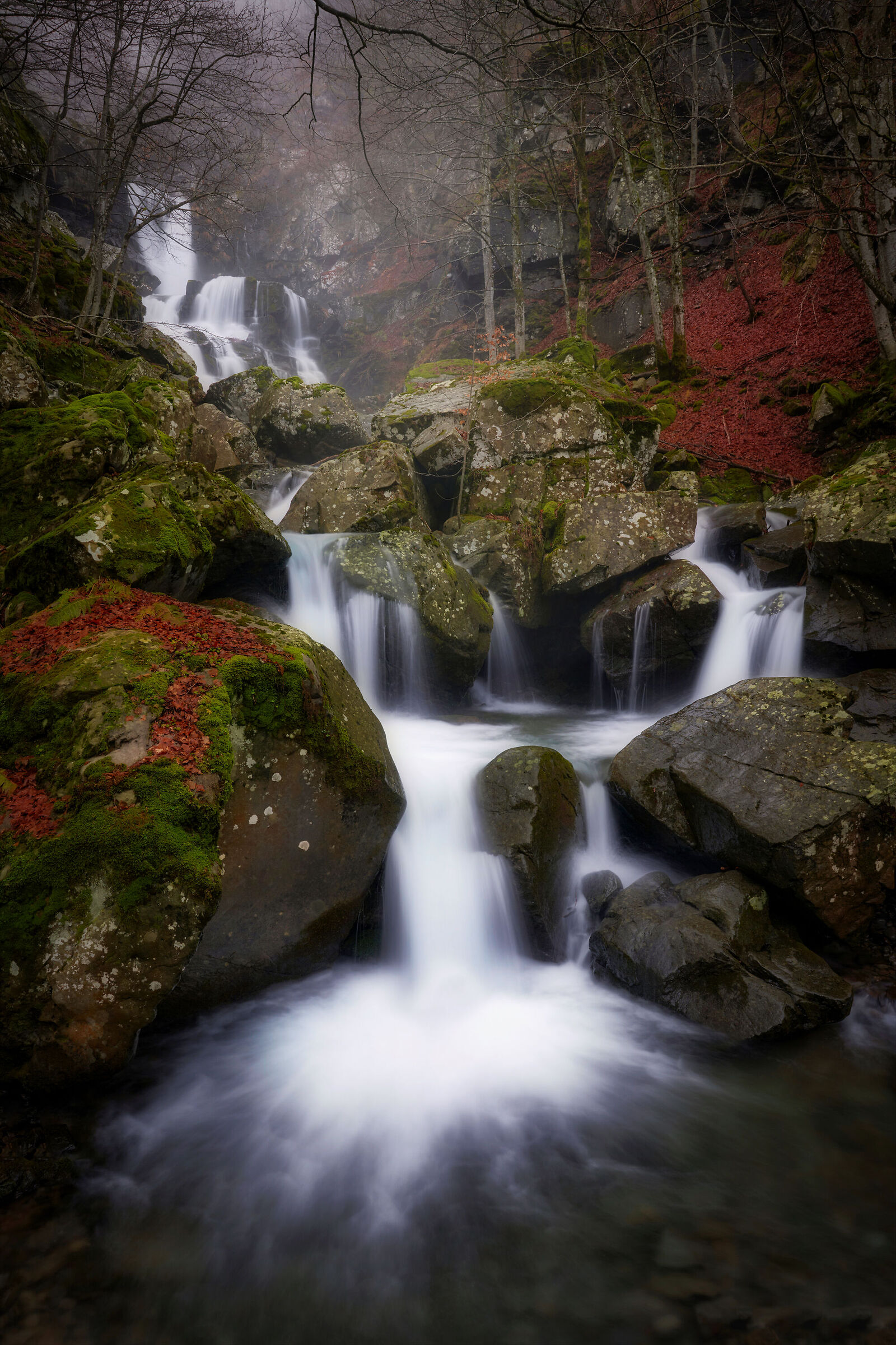 Dardagna post foliage