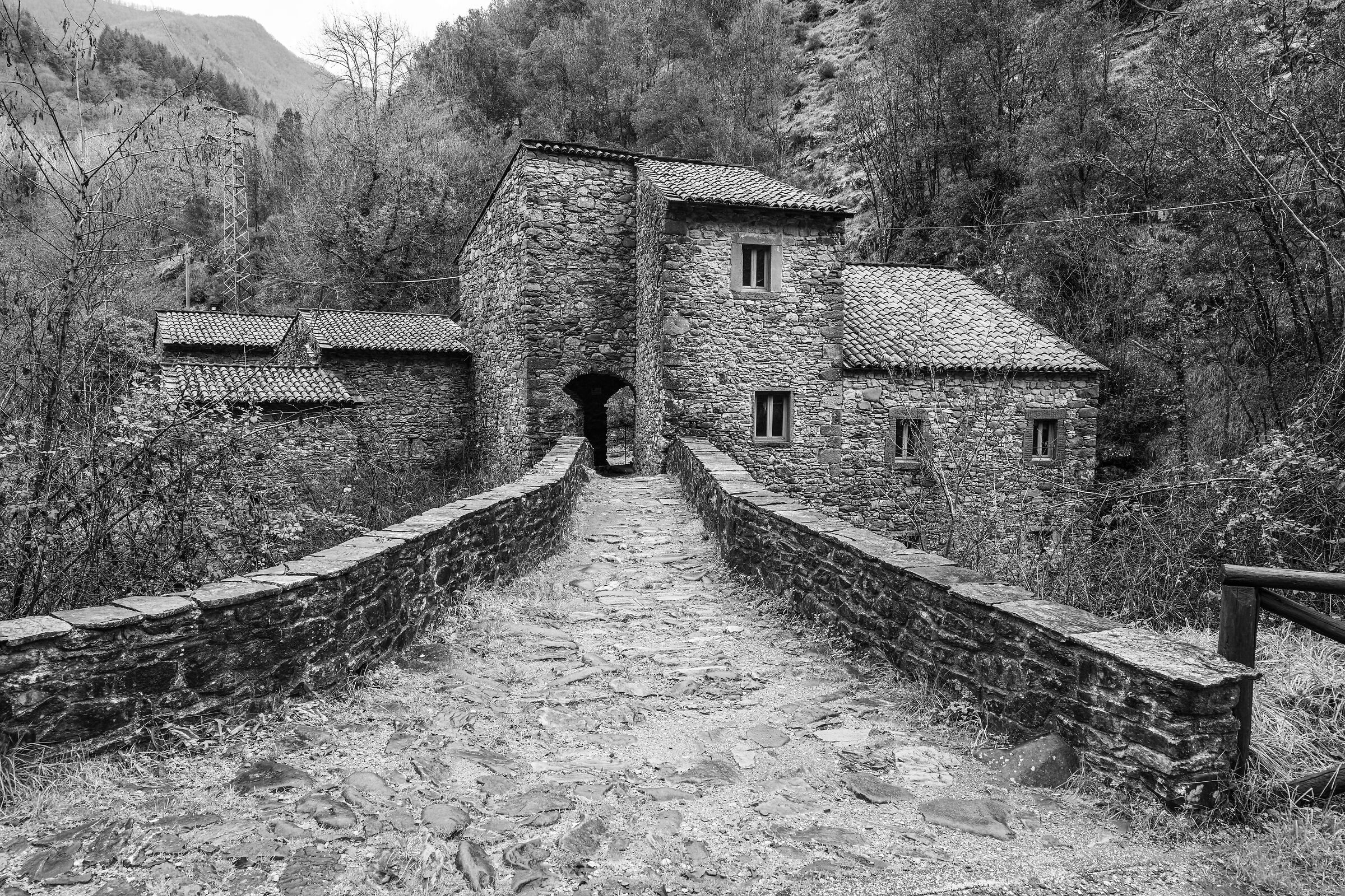 Garfagnana 2023