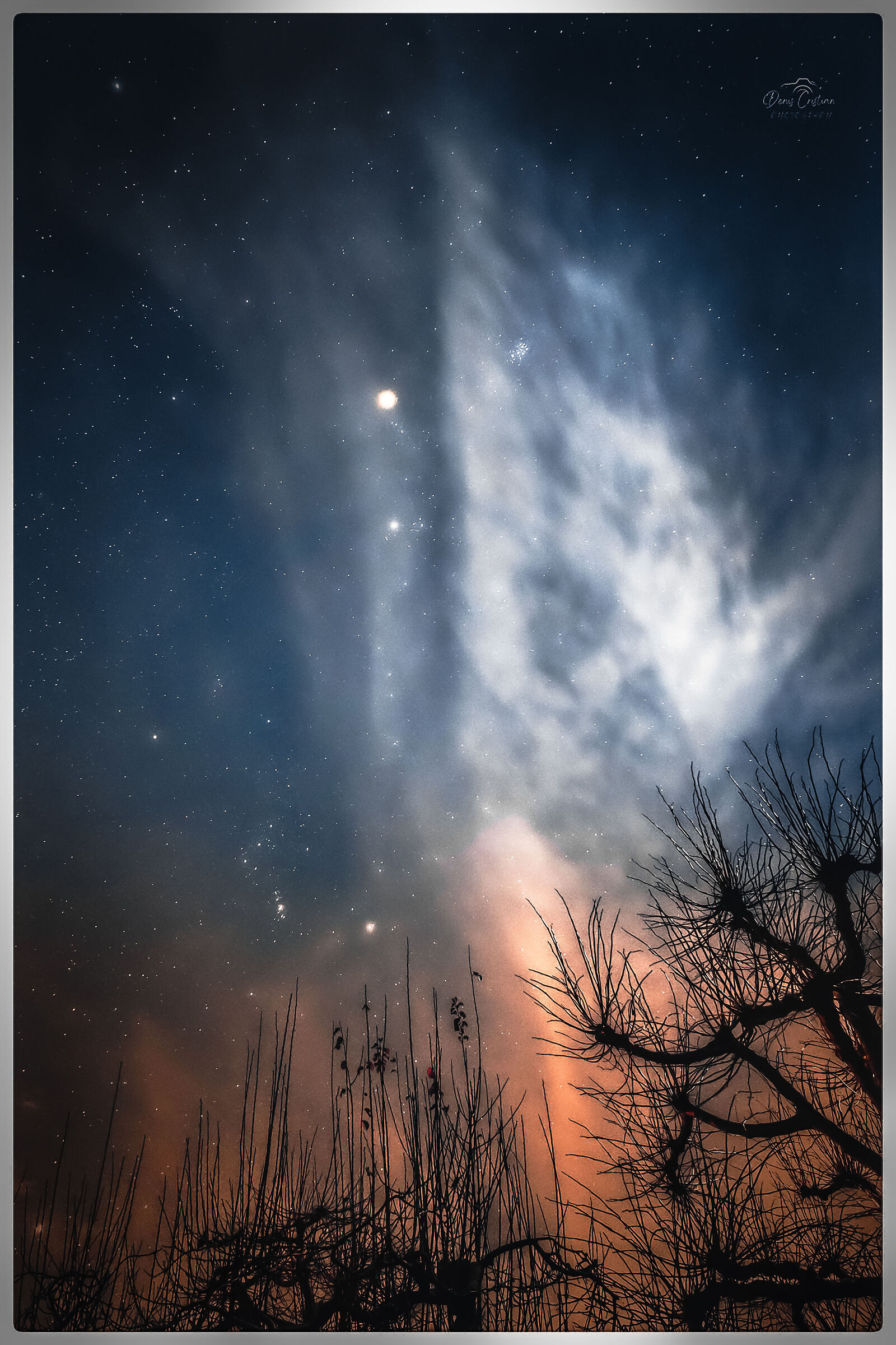 Particular nocturnal ..