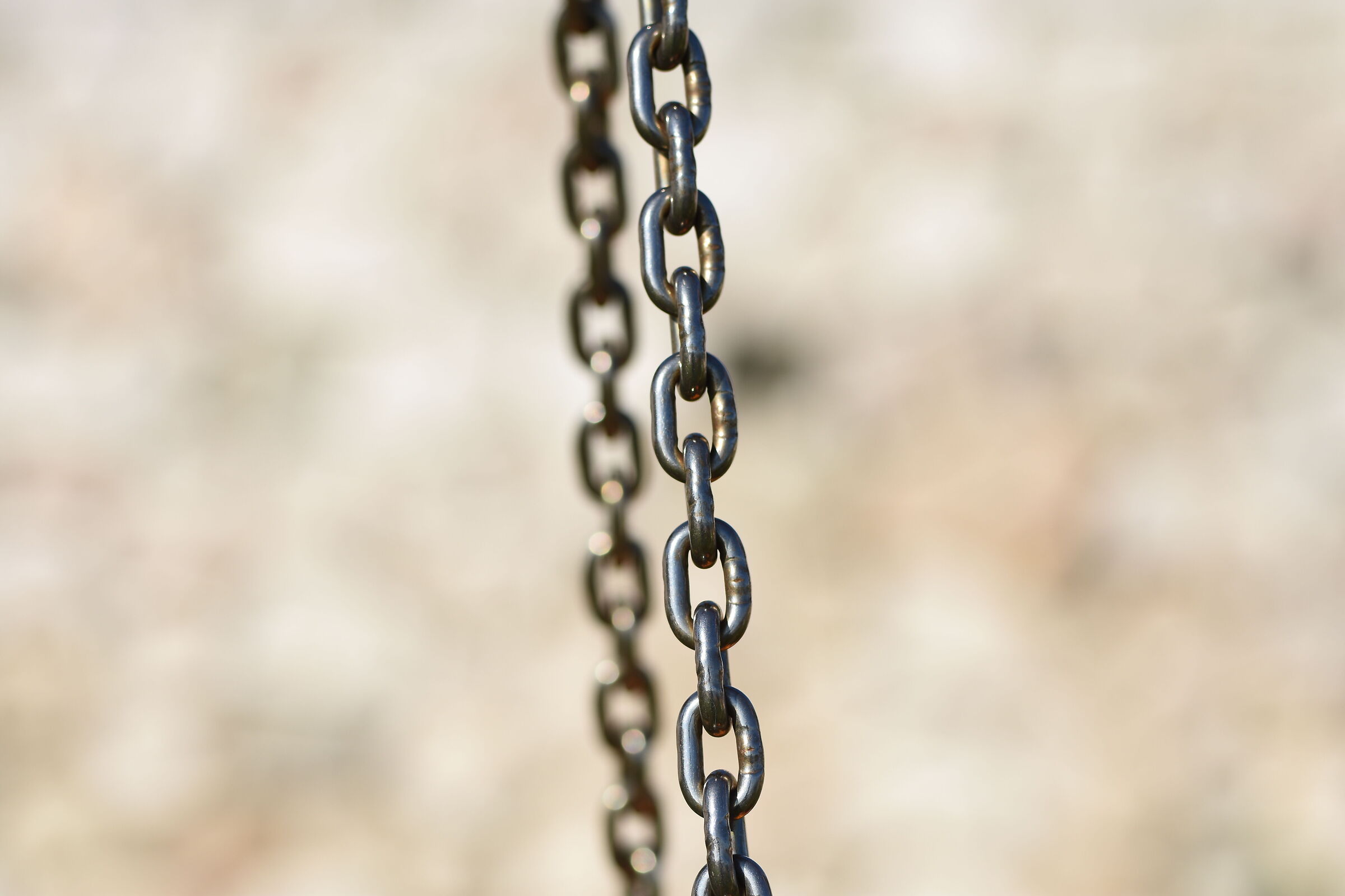 " F. 2.8 ", 1/ 4.0 0 0, ISO 125- Sigma 85, 1.4 Art