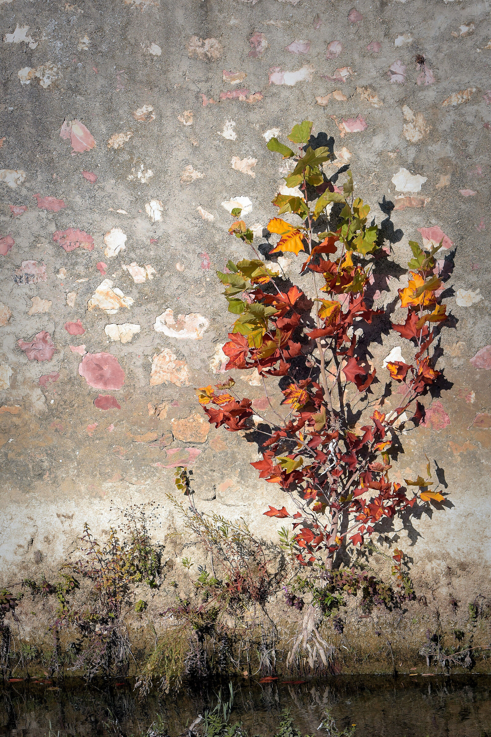 The Autumn of the River