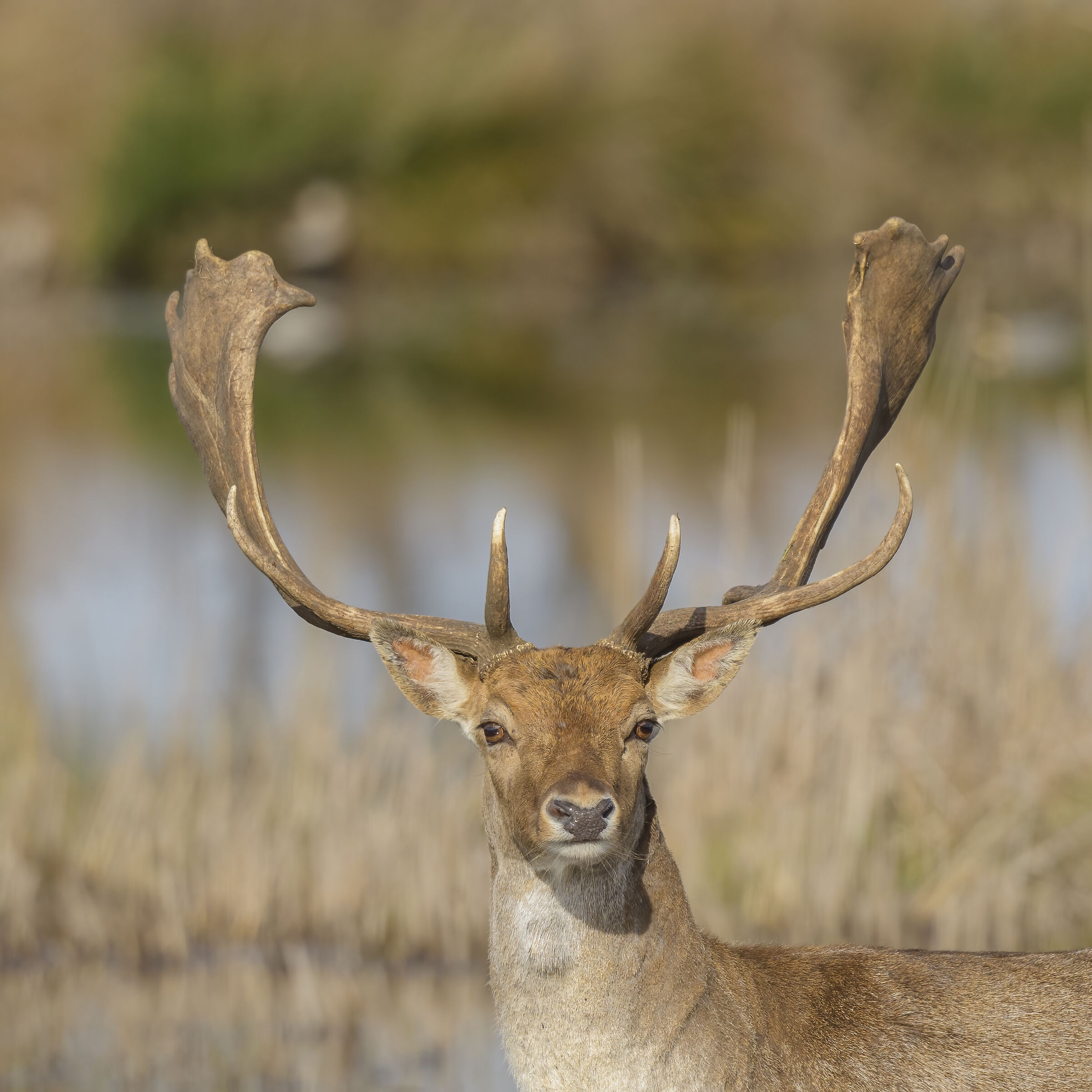 I'll keep an eye on you...