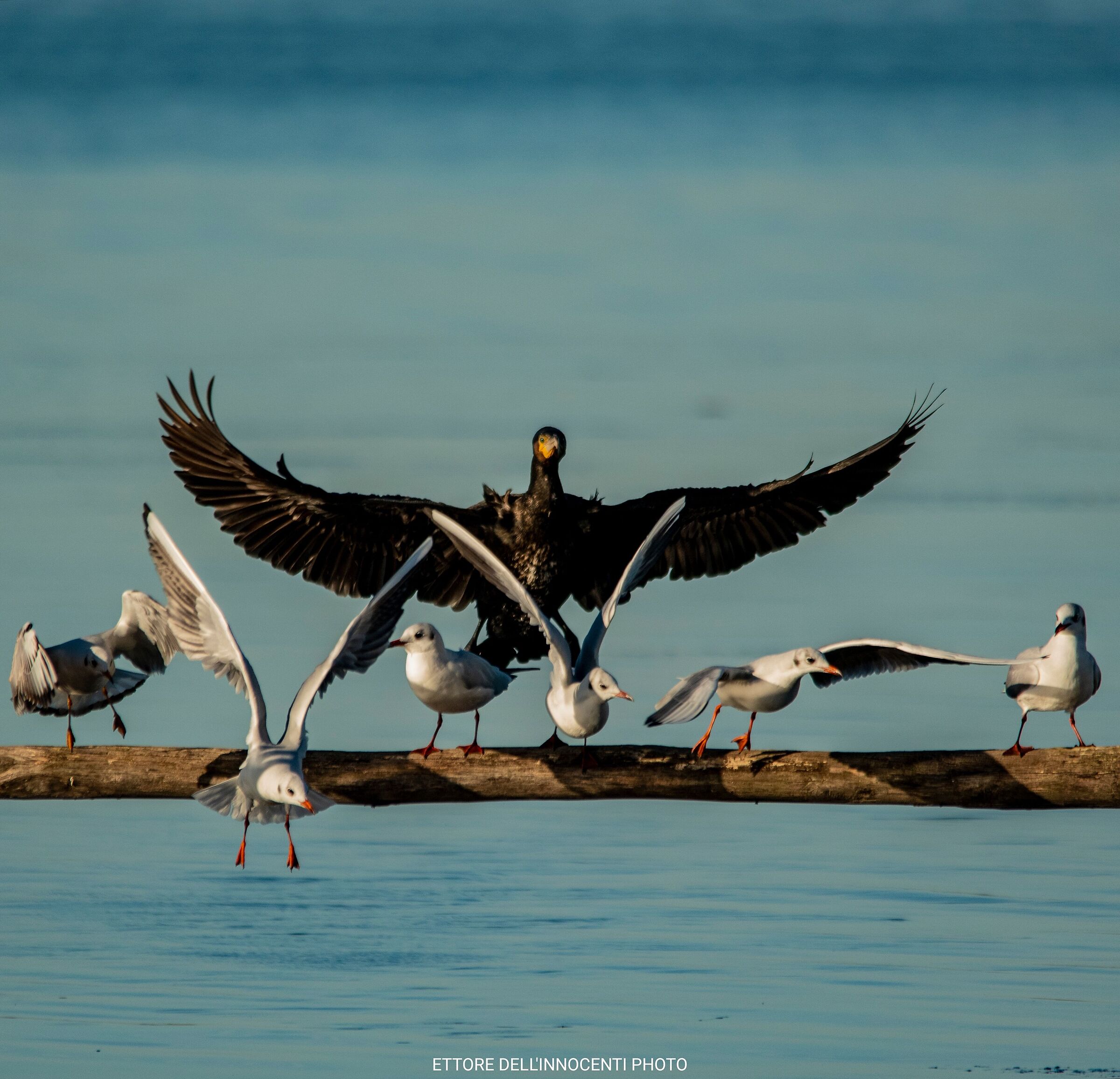 I want you all out off my property