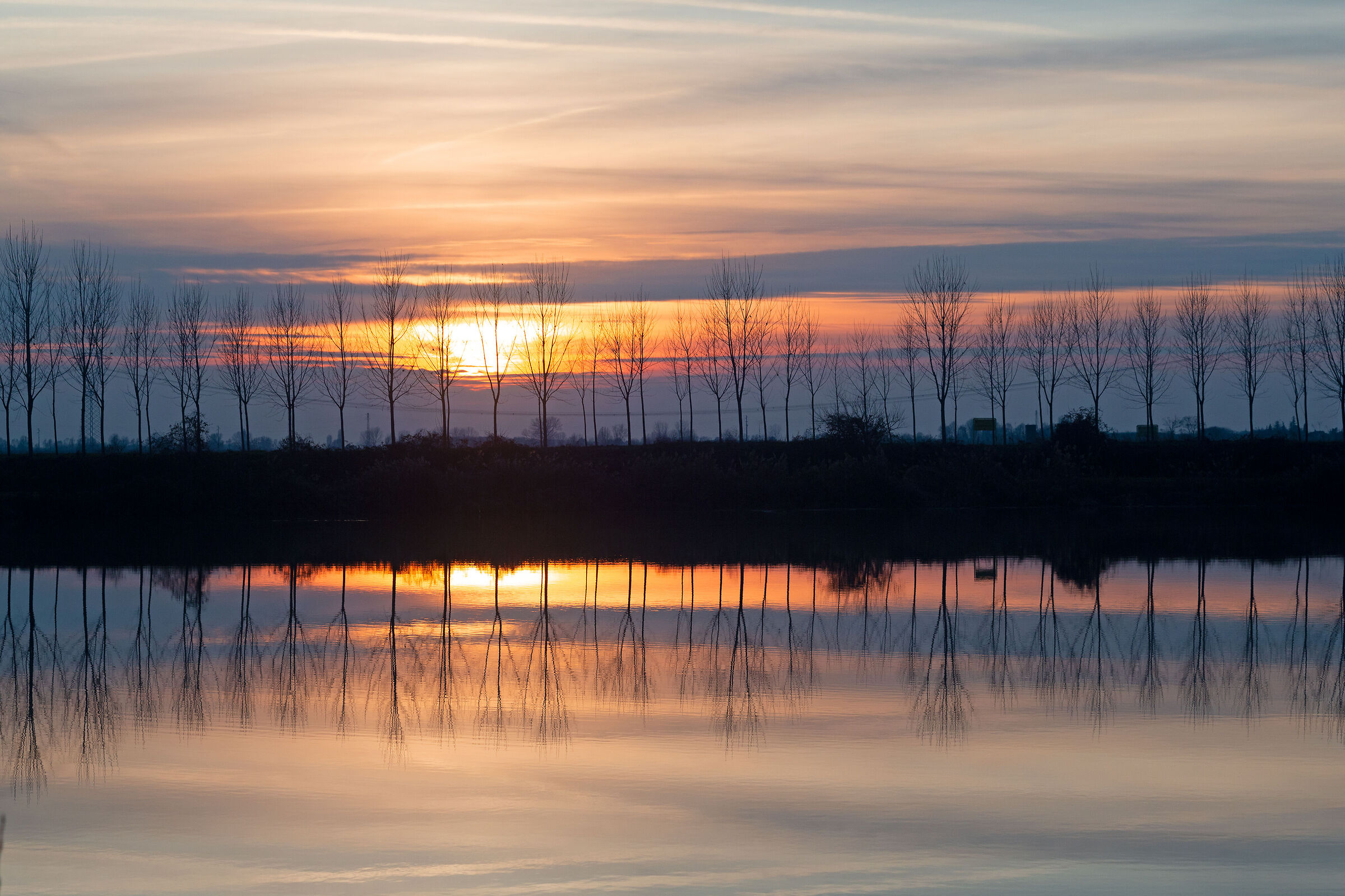 Gli alberi accarezzano il cielo