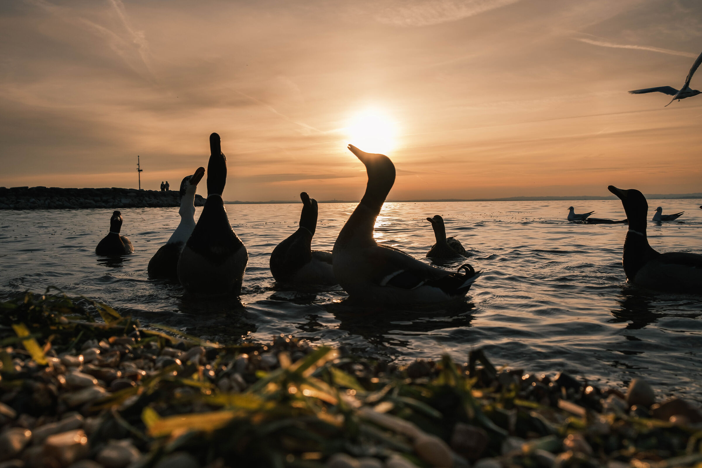 Lake Garda