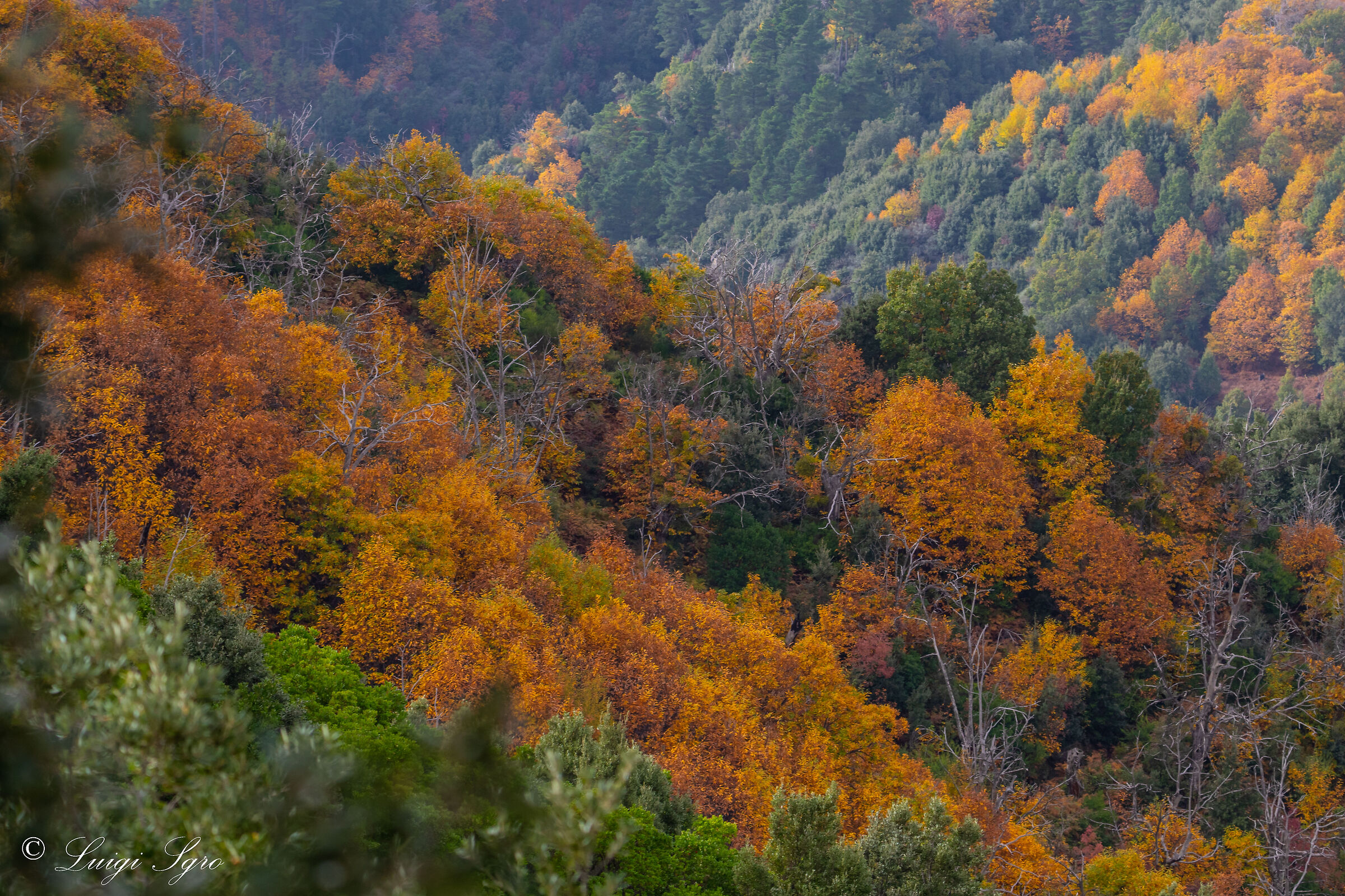 Ultimi scorci autunnali