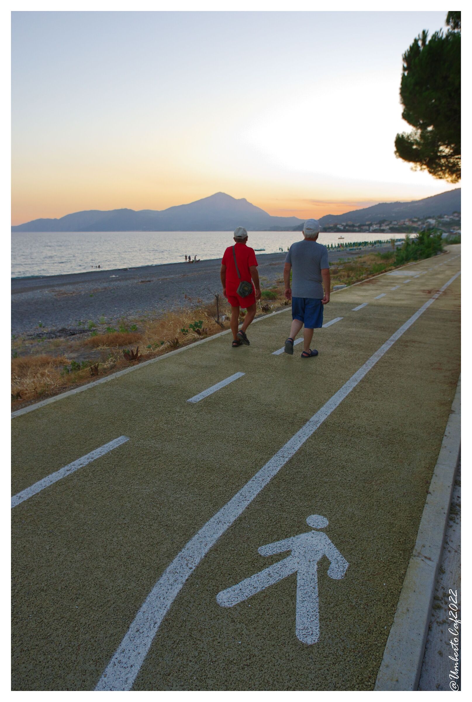 Inconsapevoli invasioni?