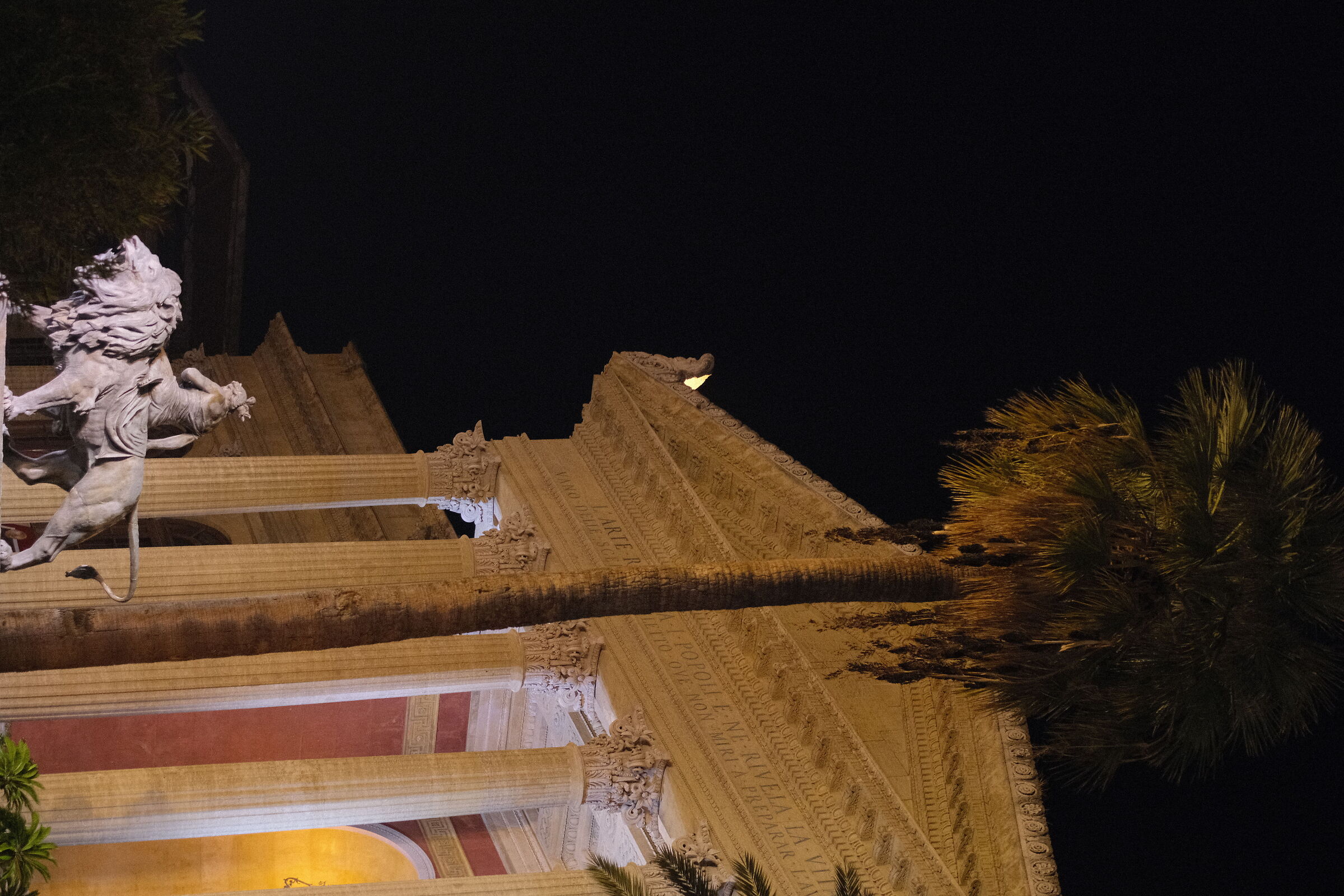 Low tail but what pride!