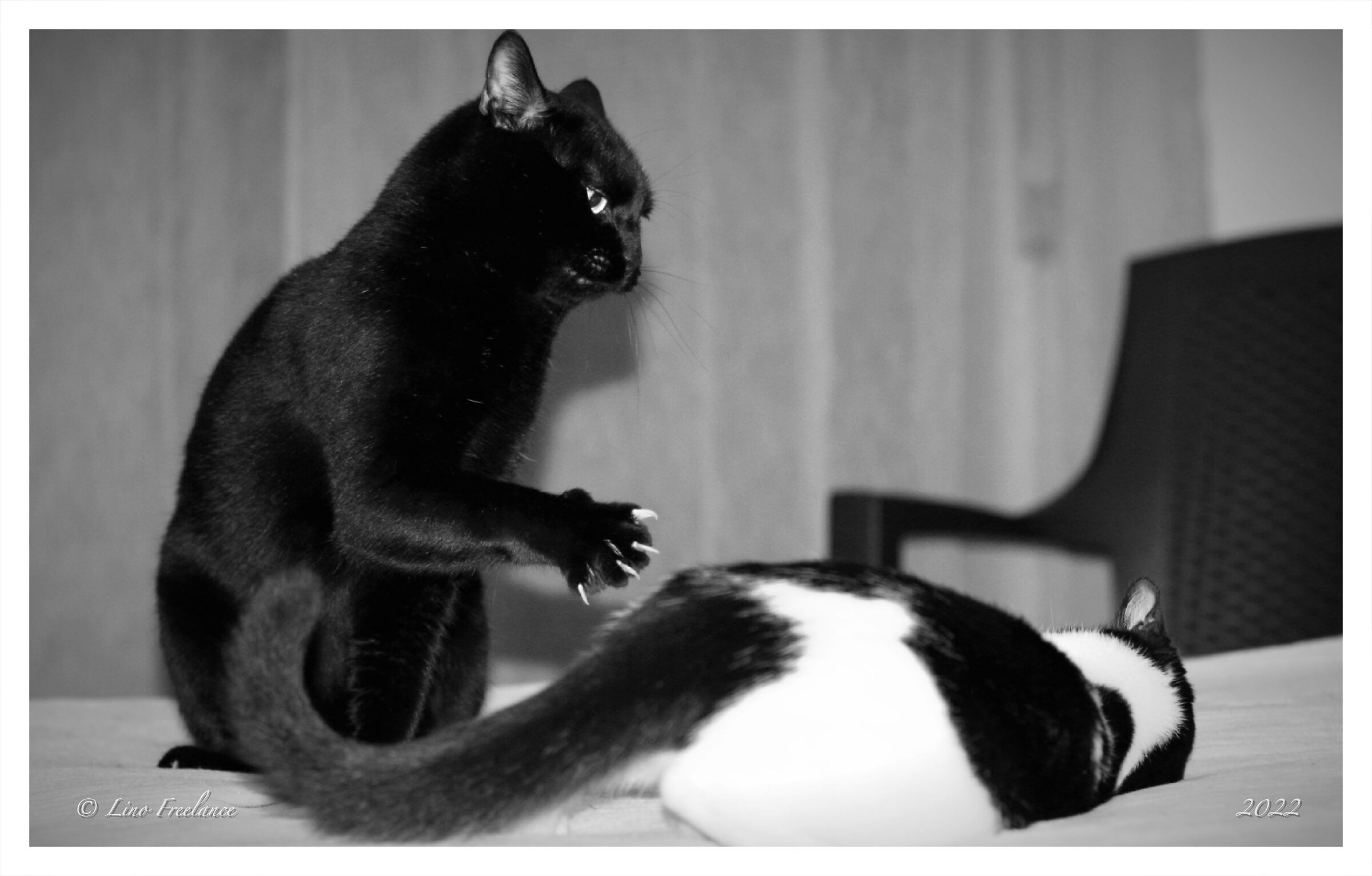 "Una grattatina alla schiena"?