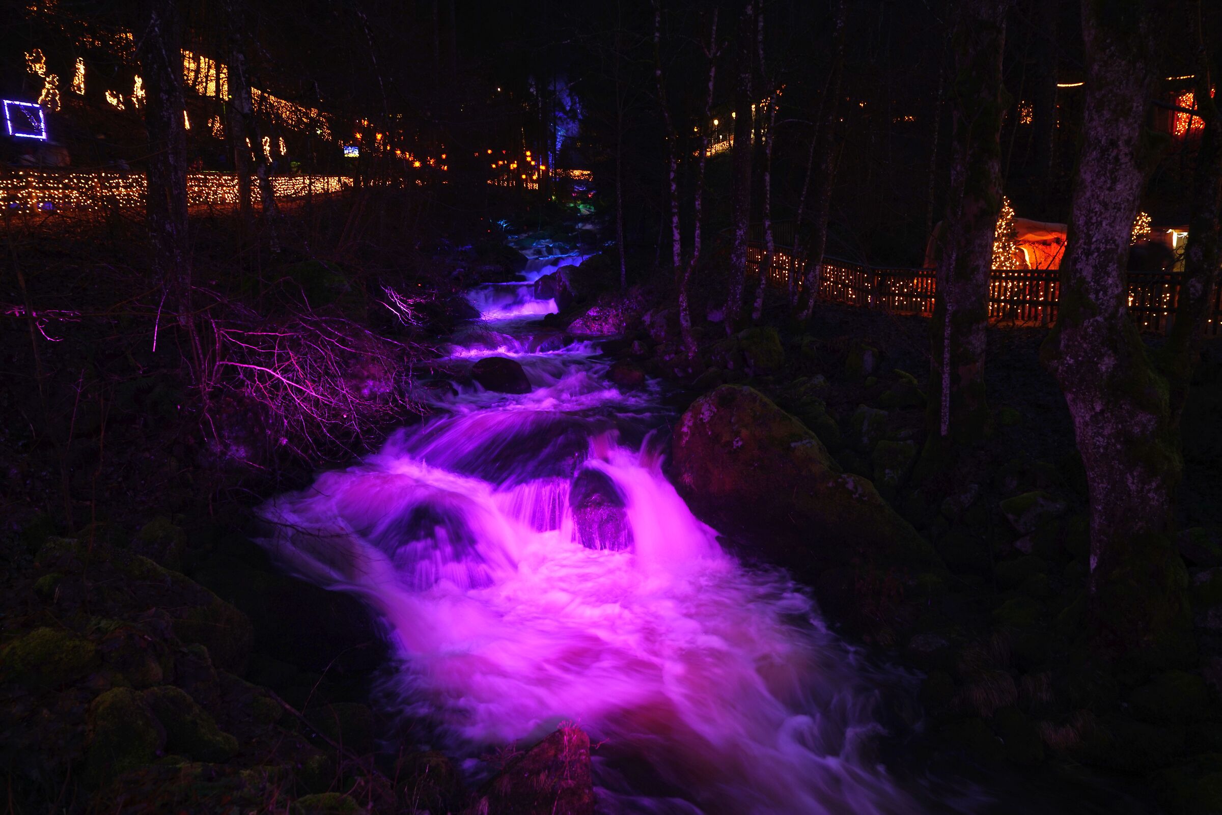 TRIBERG
