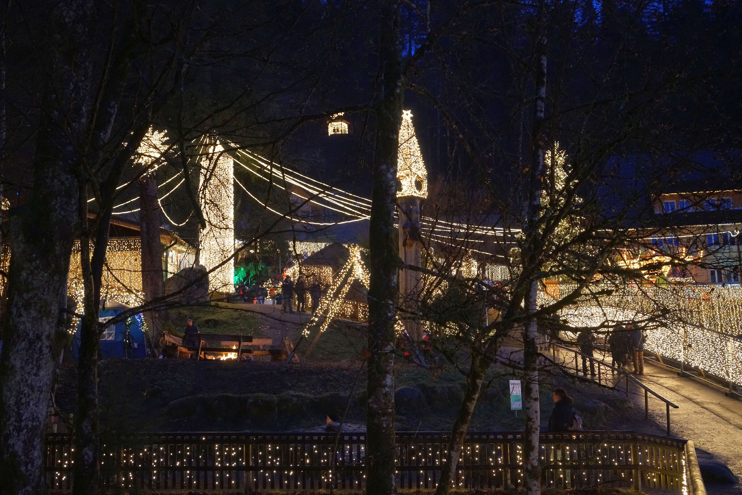 TRIBERG