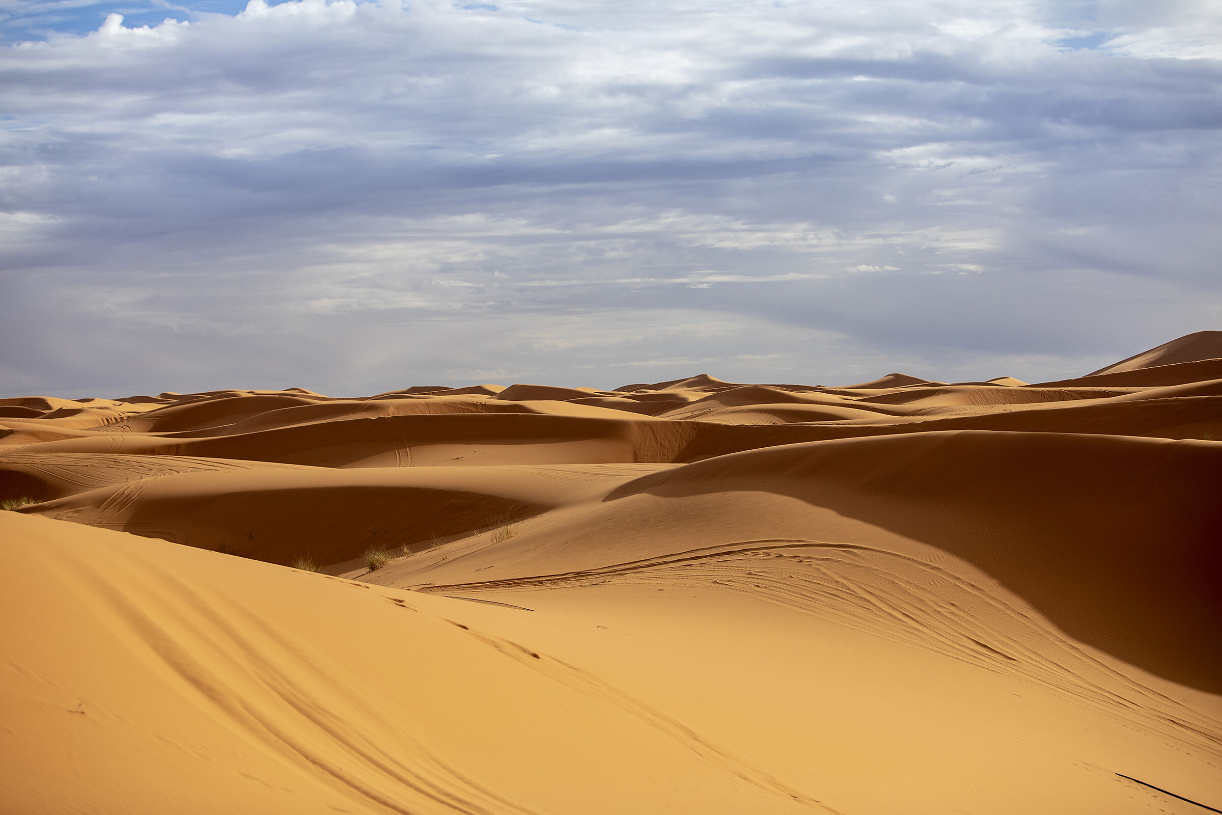 le dune di Erg Chebbi